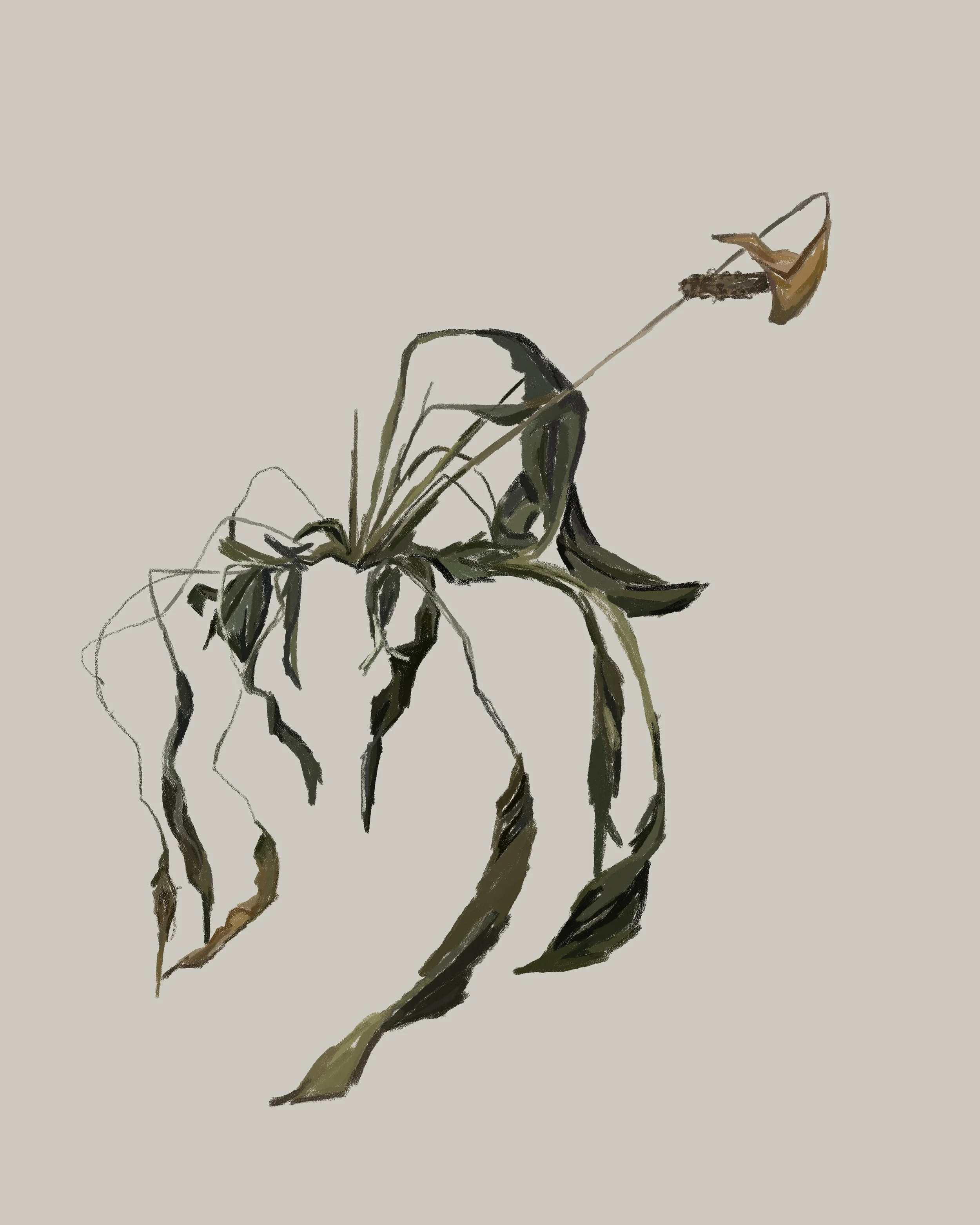 dead flowers painted.jpg