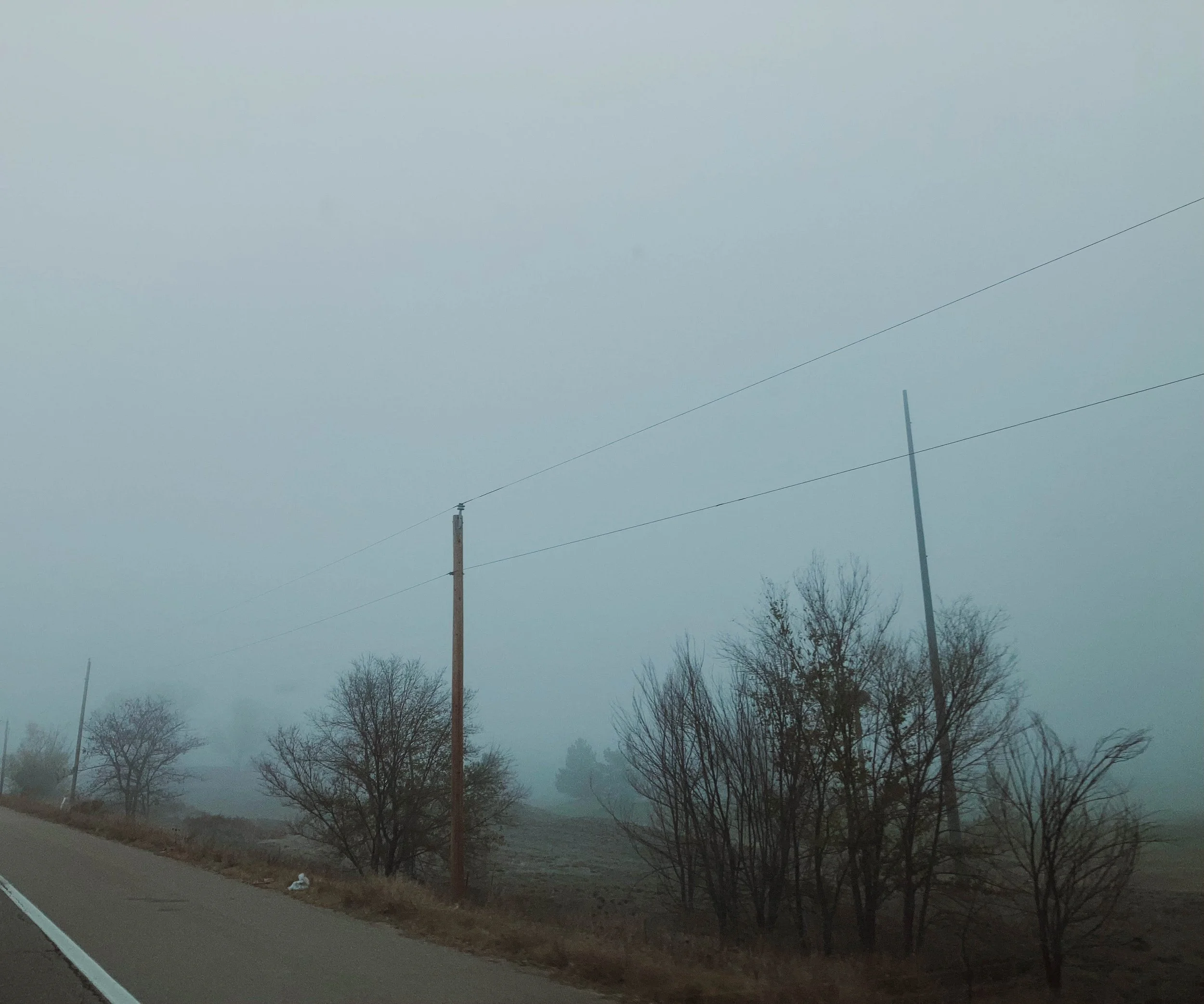 another treee edit.jpg