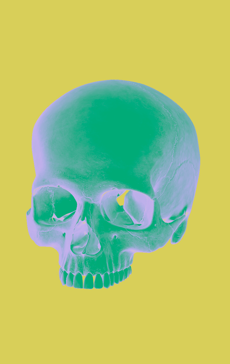 skull series 3 edit 1.png