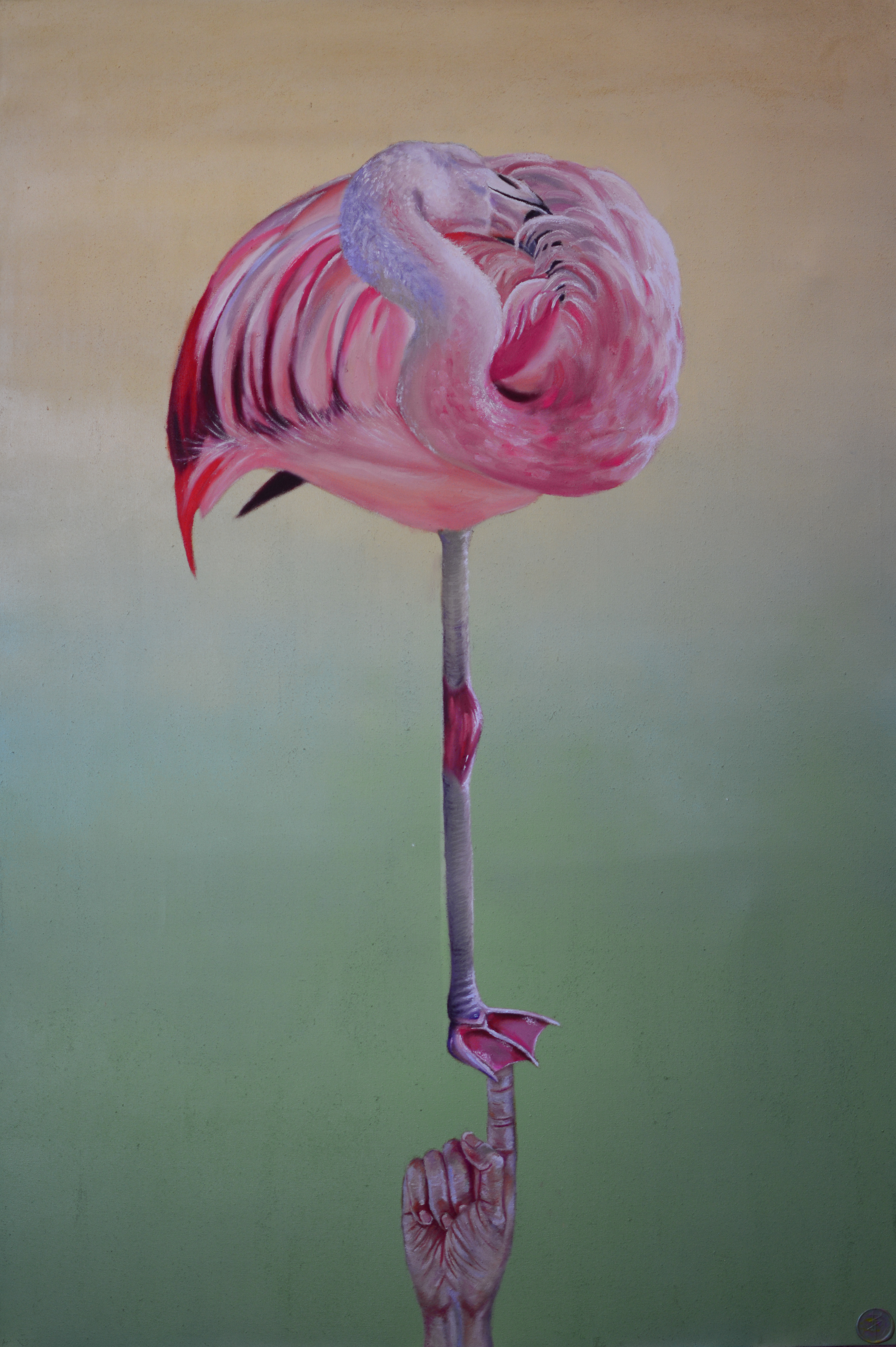 balance FULL PHOTO sized.png