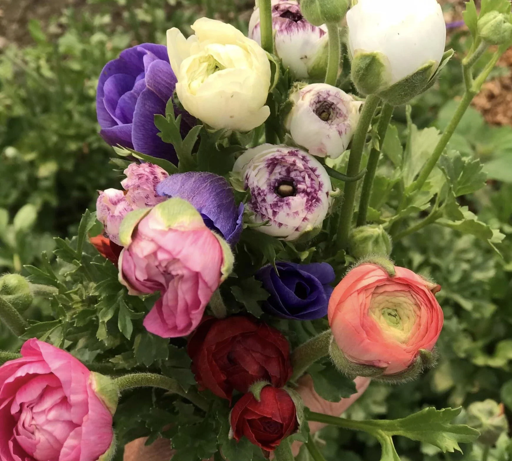 374595295_617795057203982_5754829275762712618_n - Copy.jpg (Copy)