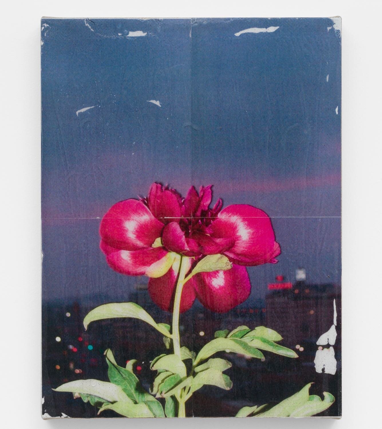 Parker Ito 
&ldquo;Opened Peony&rdquo;
2019
Acrylic, toner, and gloss varnish on linen
16&rdquo; x 12&rdquo; 
Courtesy of Chateau Shatto

#art #contemporaryart #artist #artlosangeles #carlajayharris #joefyfe #edgararceneaux #vielmettergallery #willia