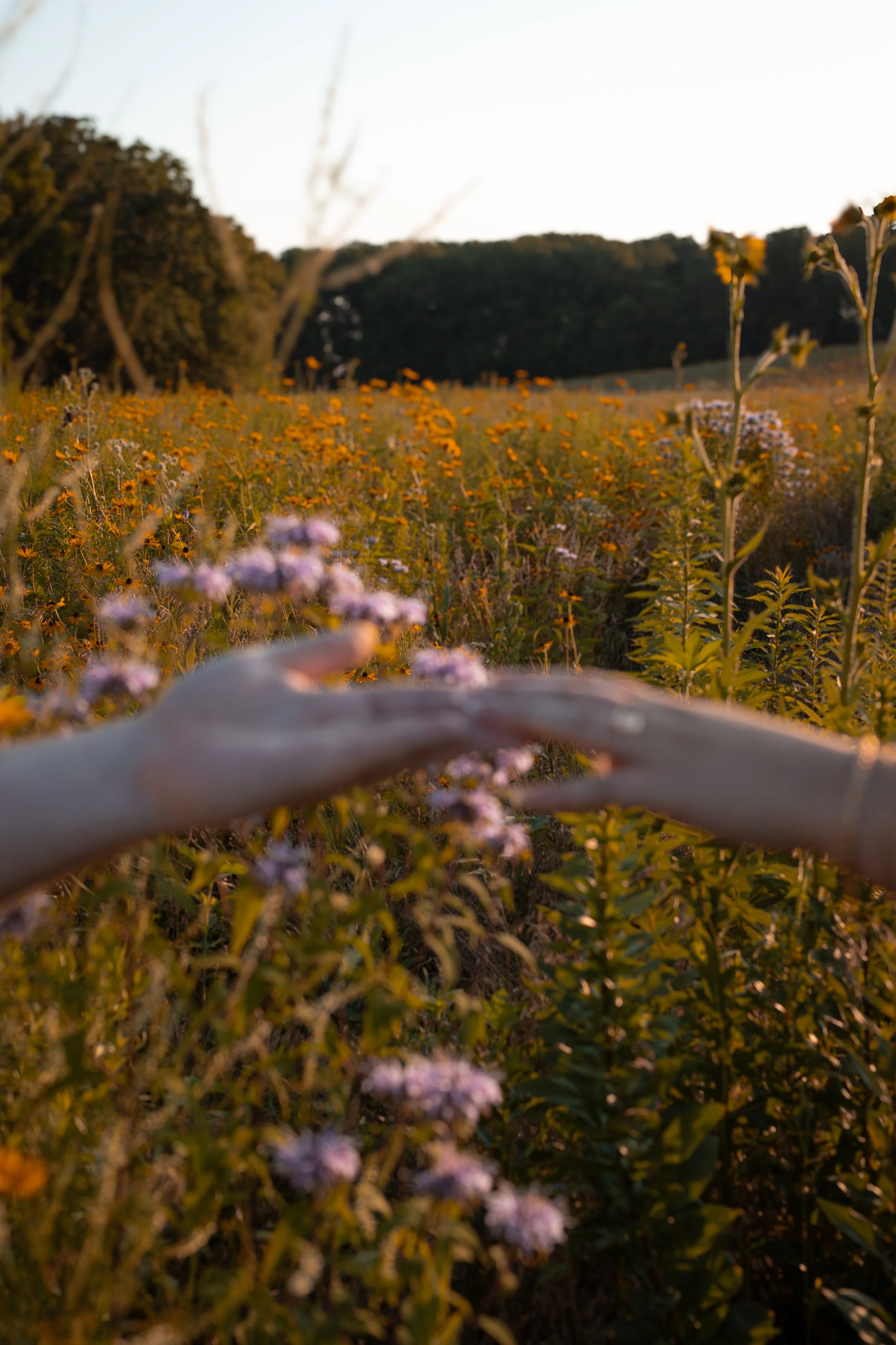 Mckenna & Darren-230.jpg