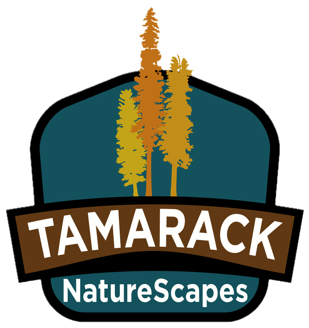 TAMARACK NATURESCAPES LLC