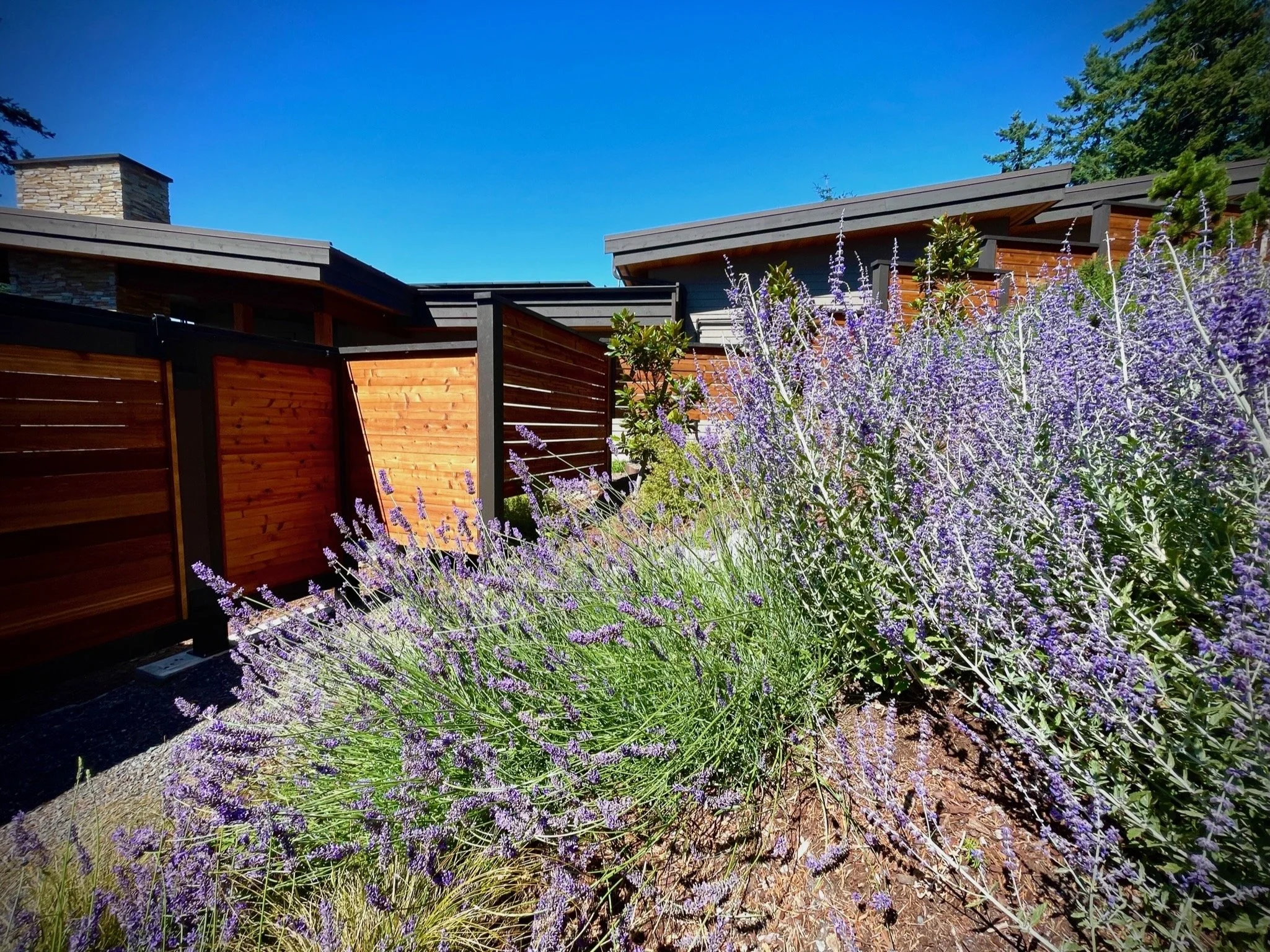 modern-fence-7.jpeg