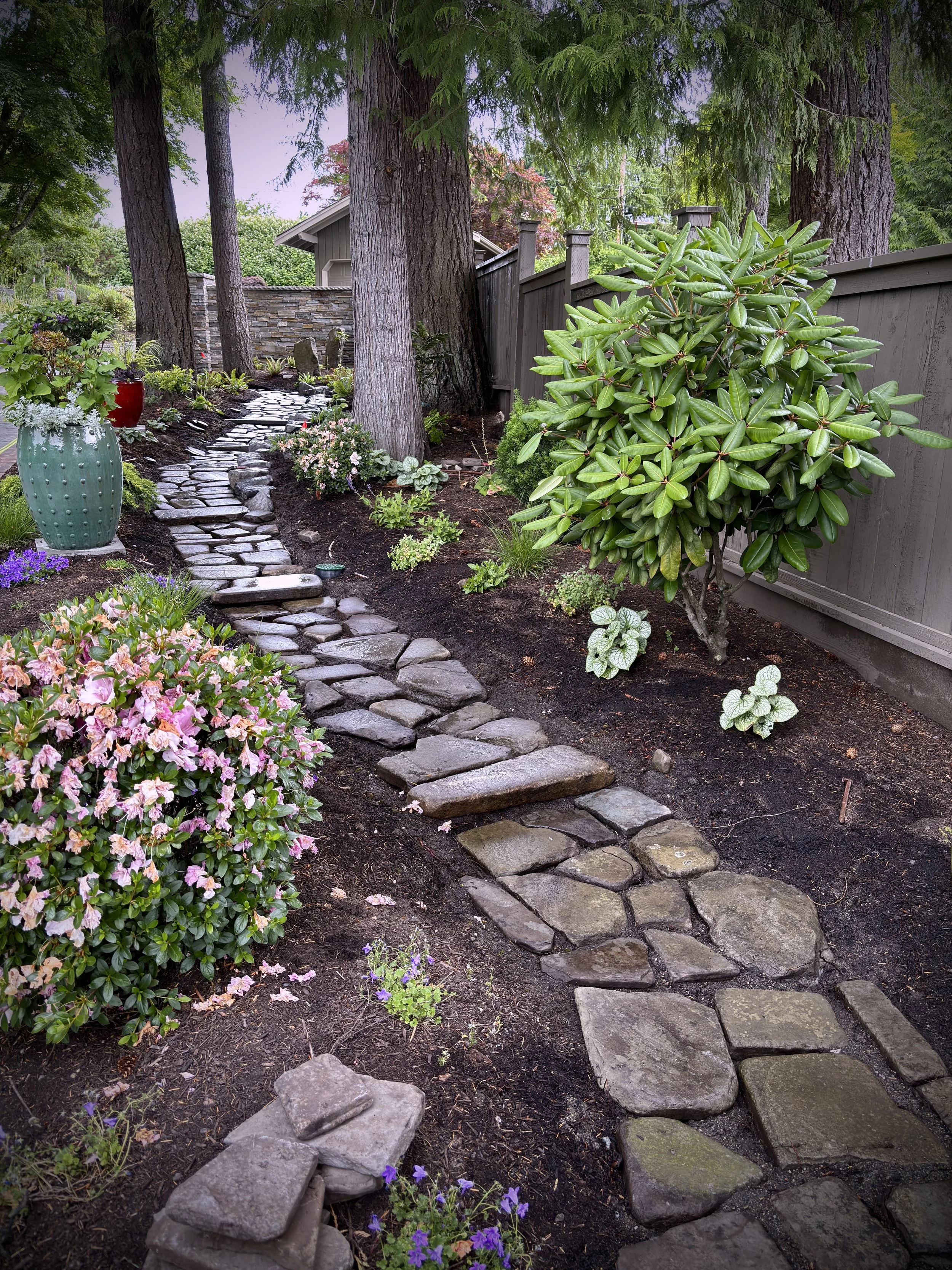 stone-path-before.JPG