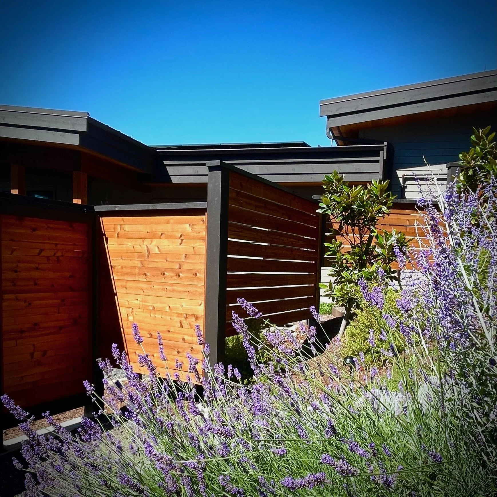 modern-fence-10.jpeg