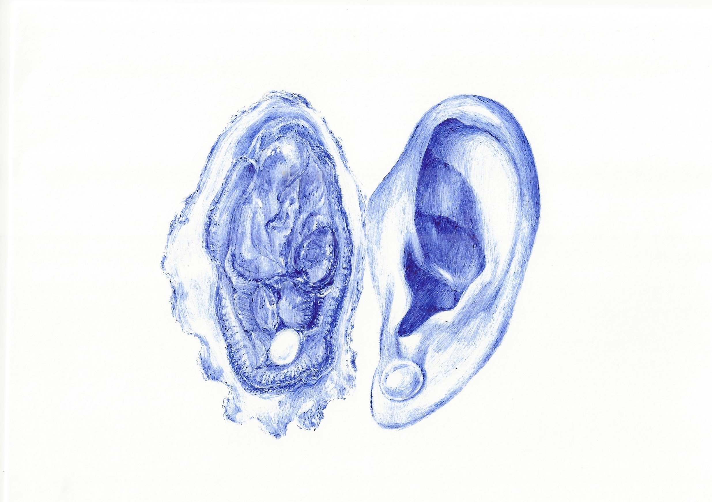 Oyster Ears