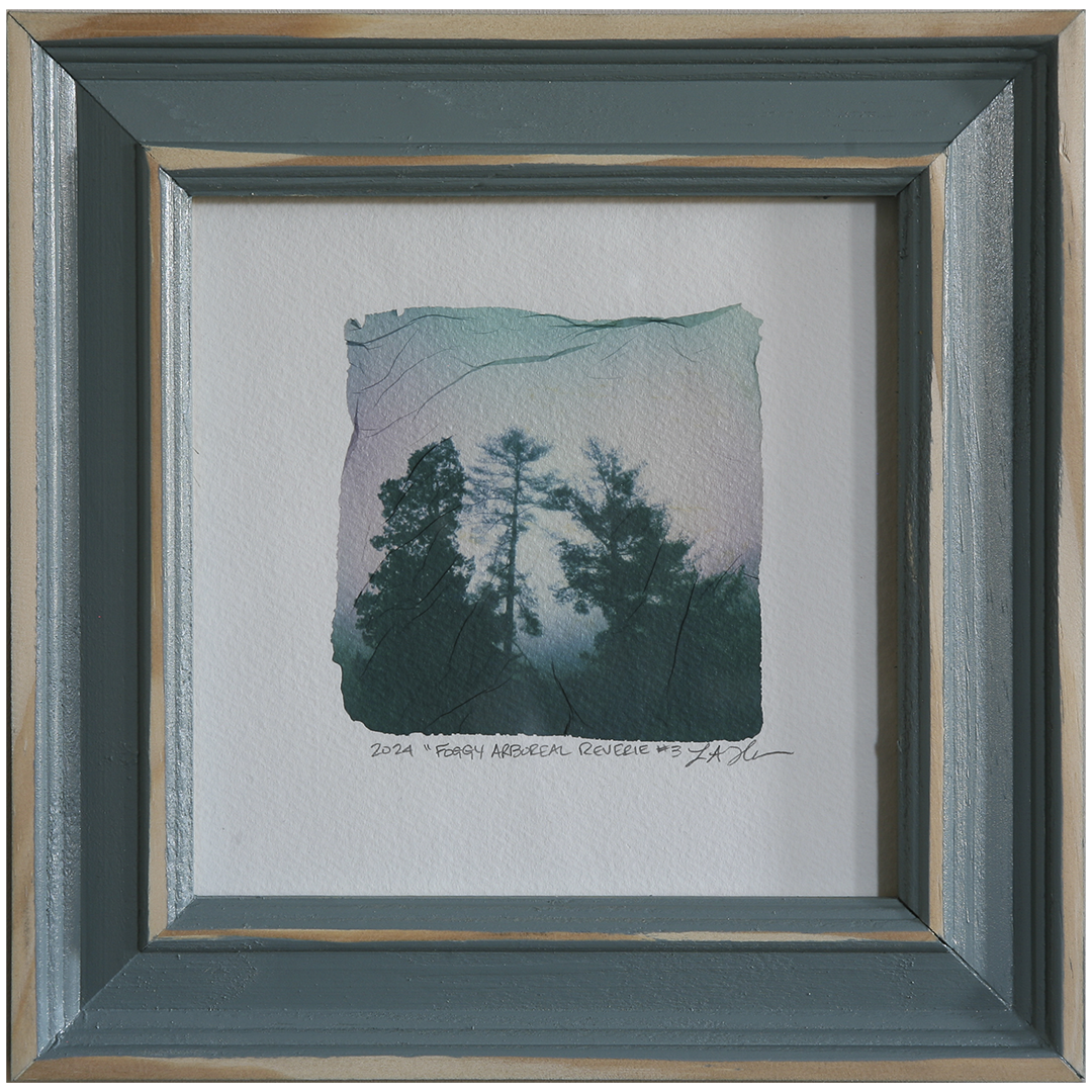 foggy-arboreal-3_framed.png