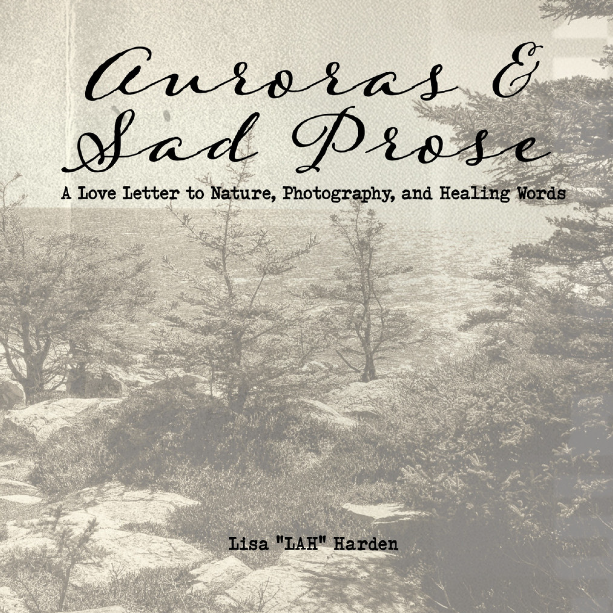 Auroras & Sad Prose Art Book