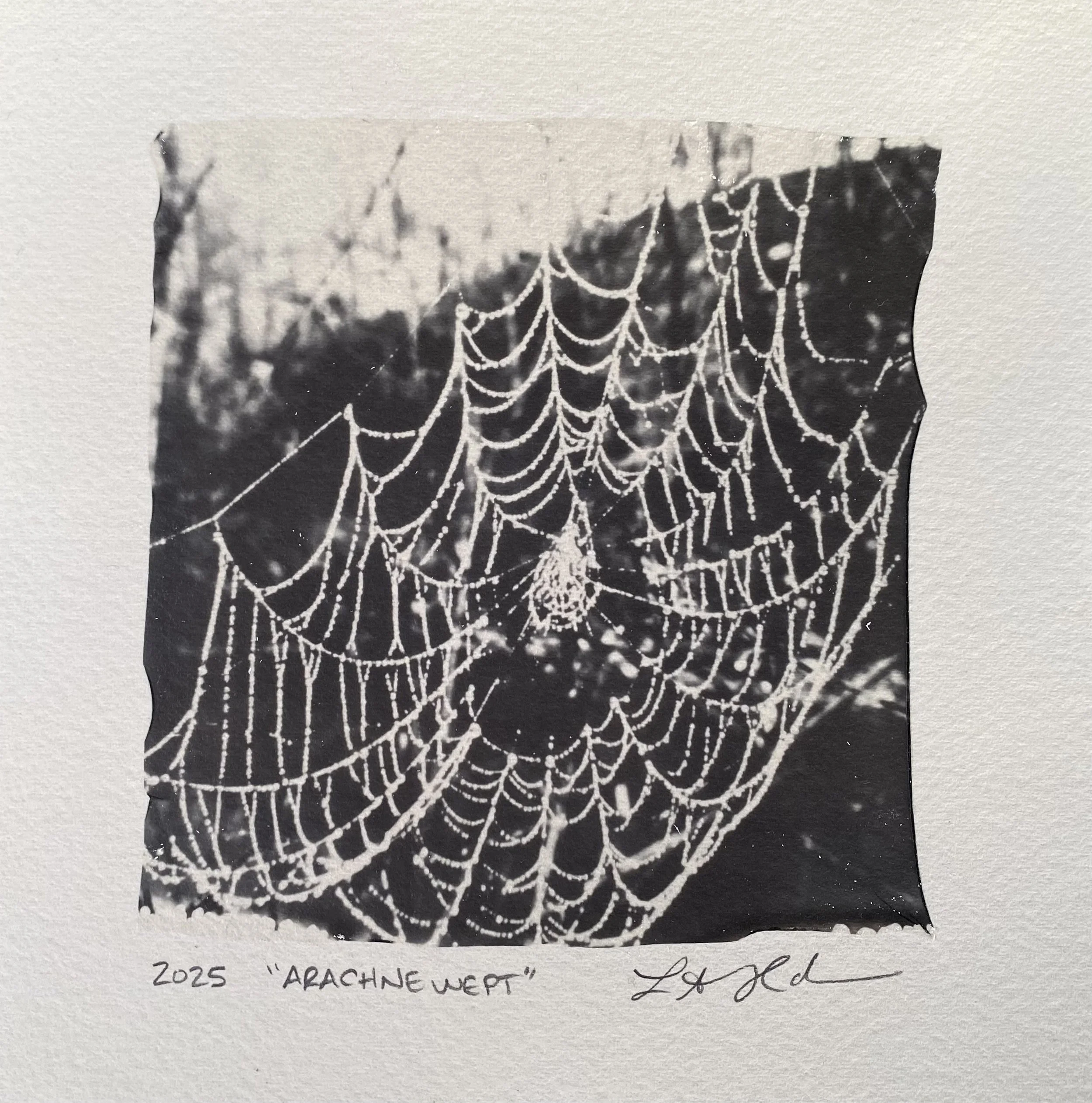 arachne-wept.jpeg