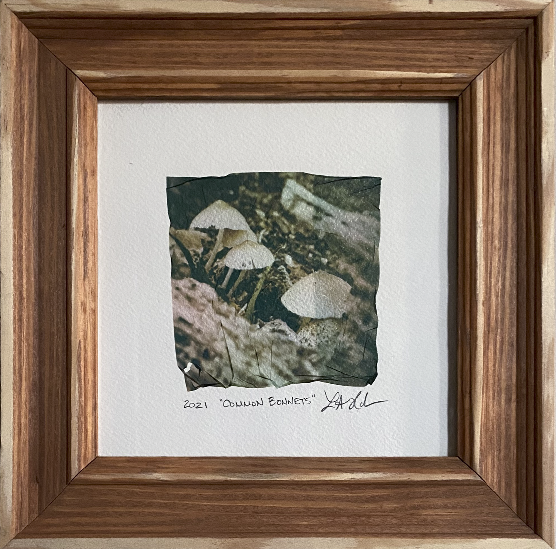 Polaroid® Emulsion Lift: Common Bonnets