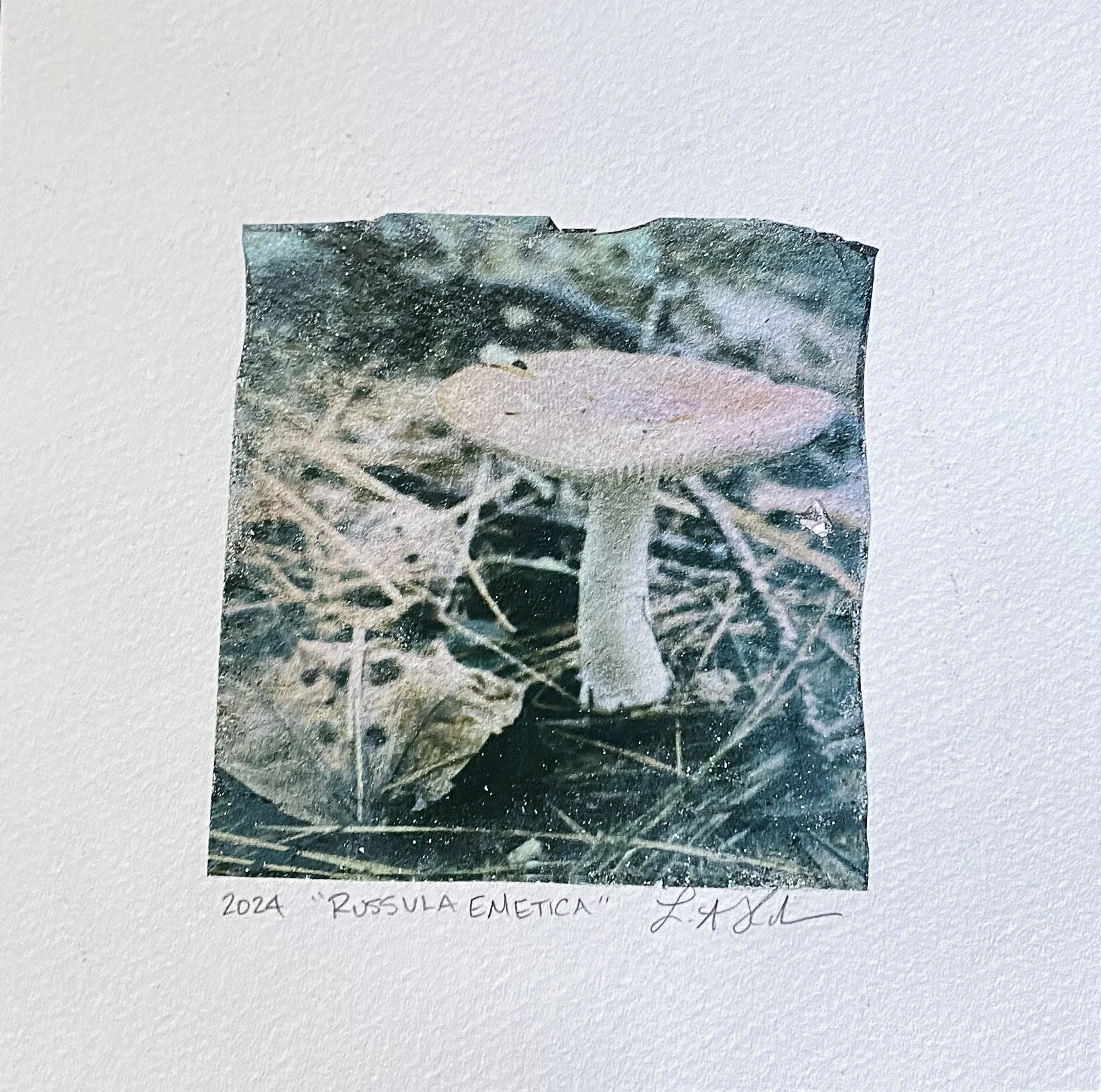 Polaroid® Emulsion Lift: Russula Emetica #2