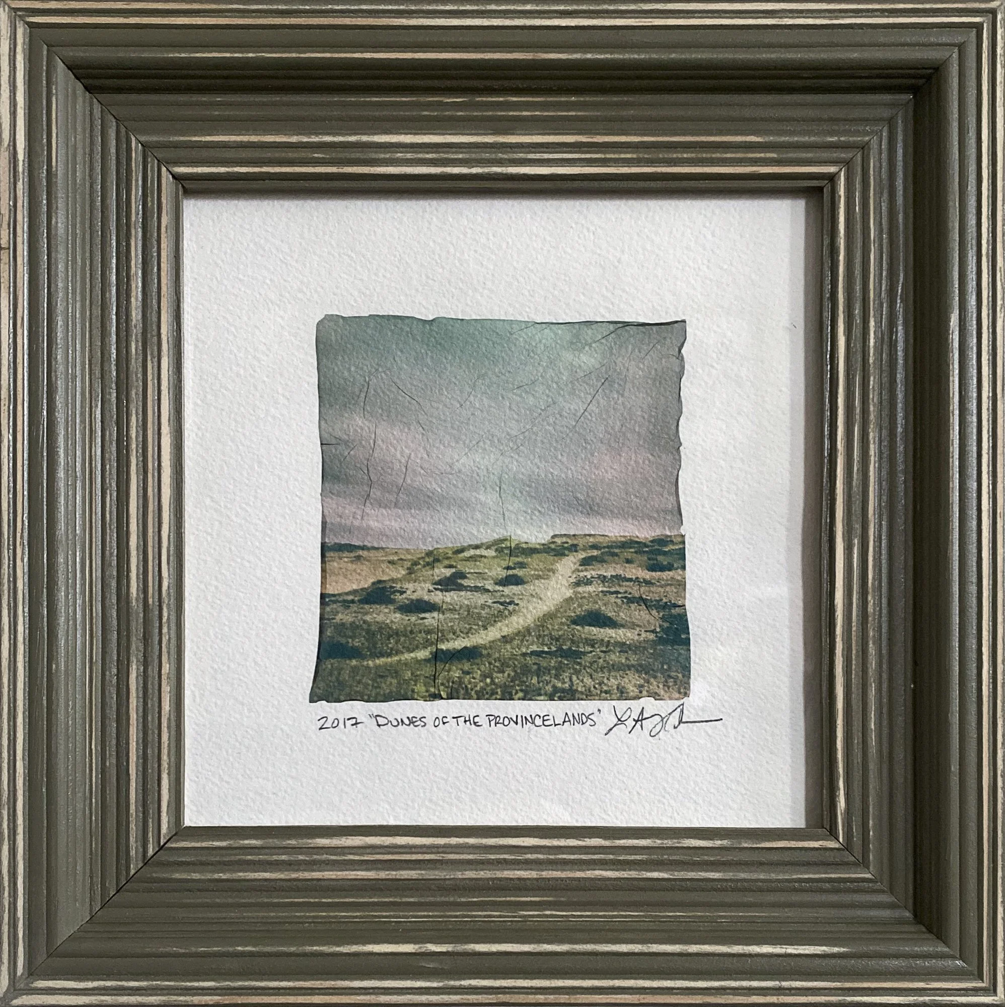 Polaroid® Emulsion Lift: Dunes of the Provincelands