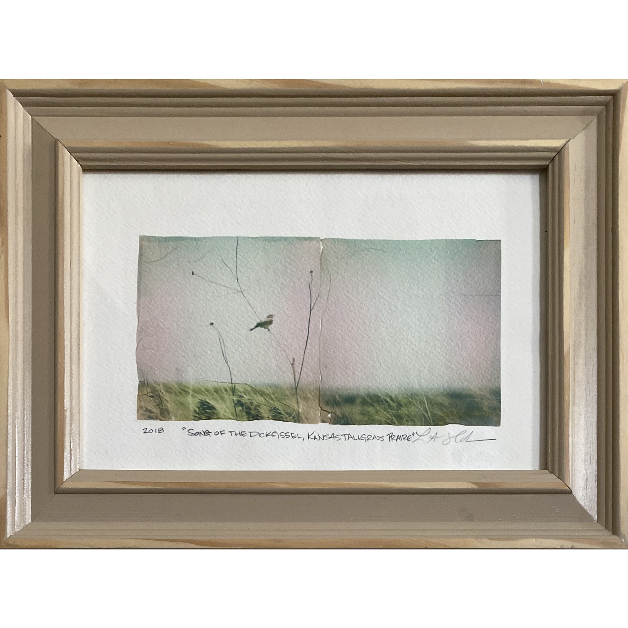 song-of-the-dickcissel.png