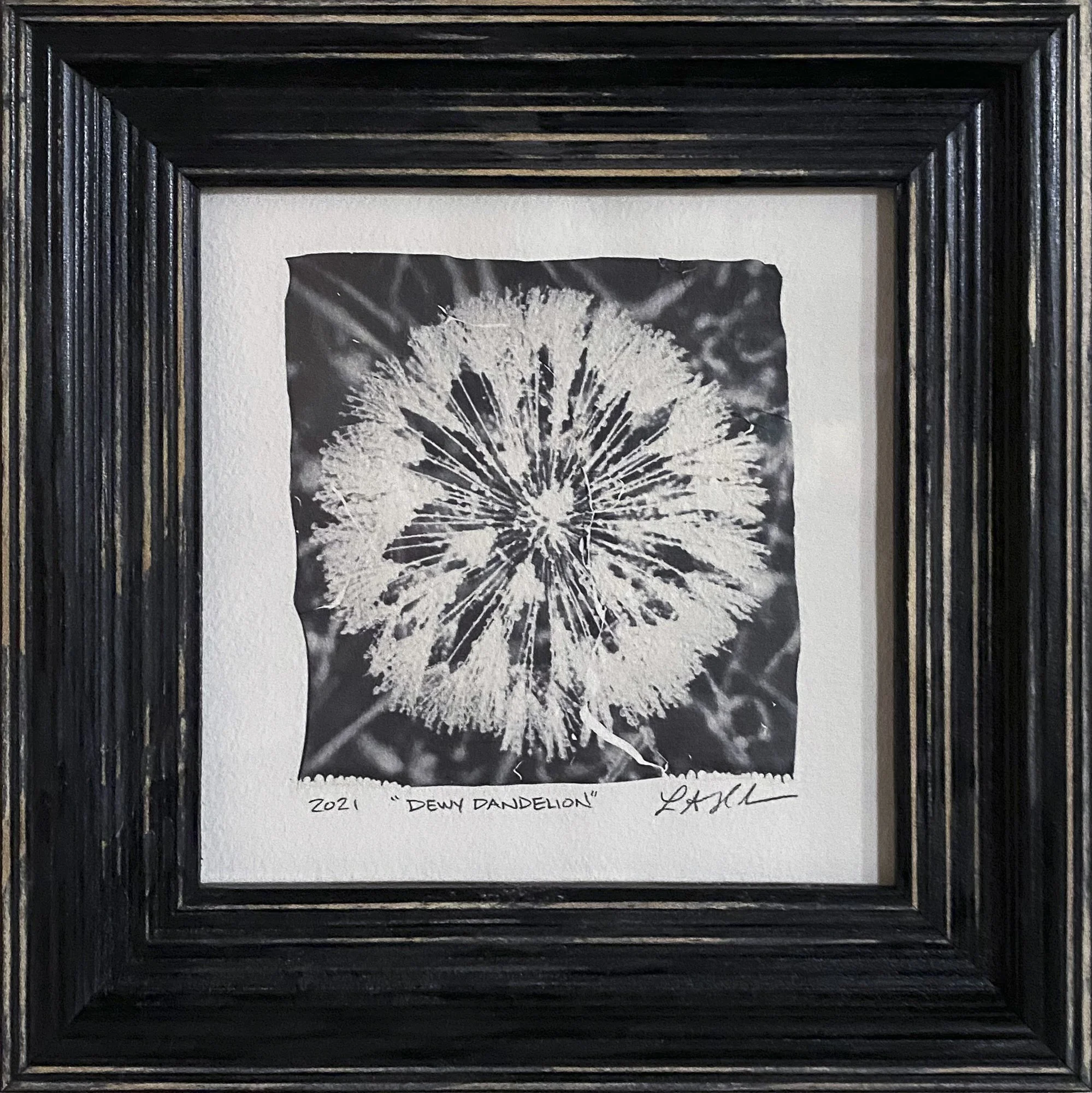 Polaroid® Emulsion Lift: Dewy Dandelion