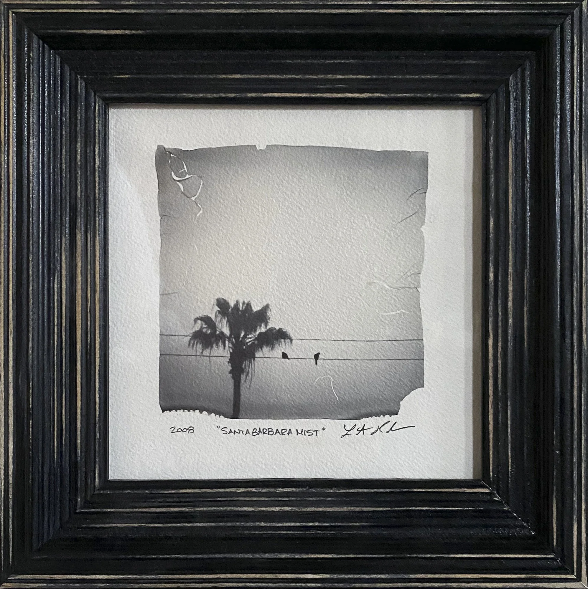 Polaroid® Emulsion Lift: Santa Barbara Mist