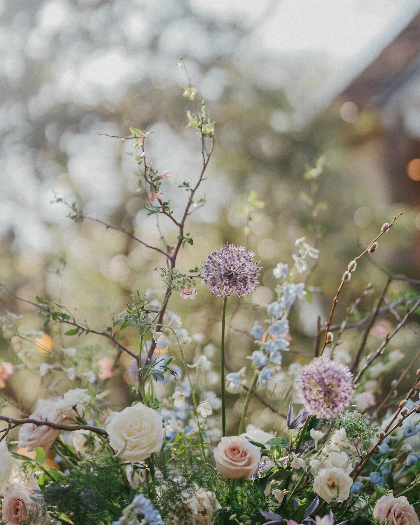 A dreamy spring wedding for Madison and James. 🌸🌷

Venue: @hollyhedgeestate 
Florals: @thestemsend 
DJ: @eastcoast.eventgroup 
Hair: @bewitchedbridal 
MUA: @dariansaesthetic
