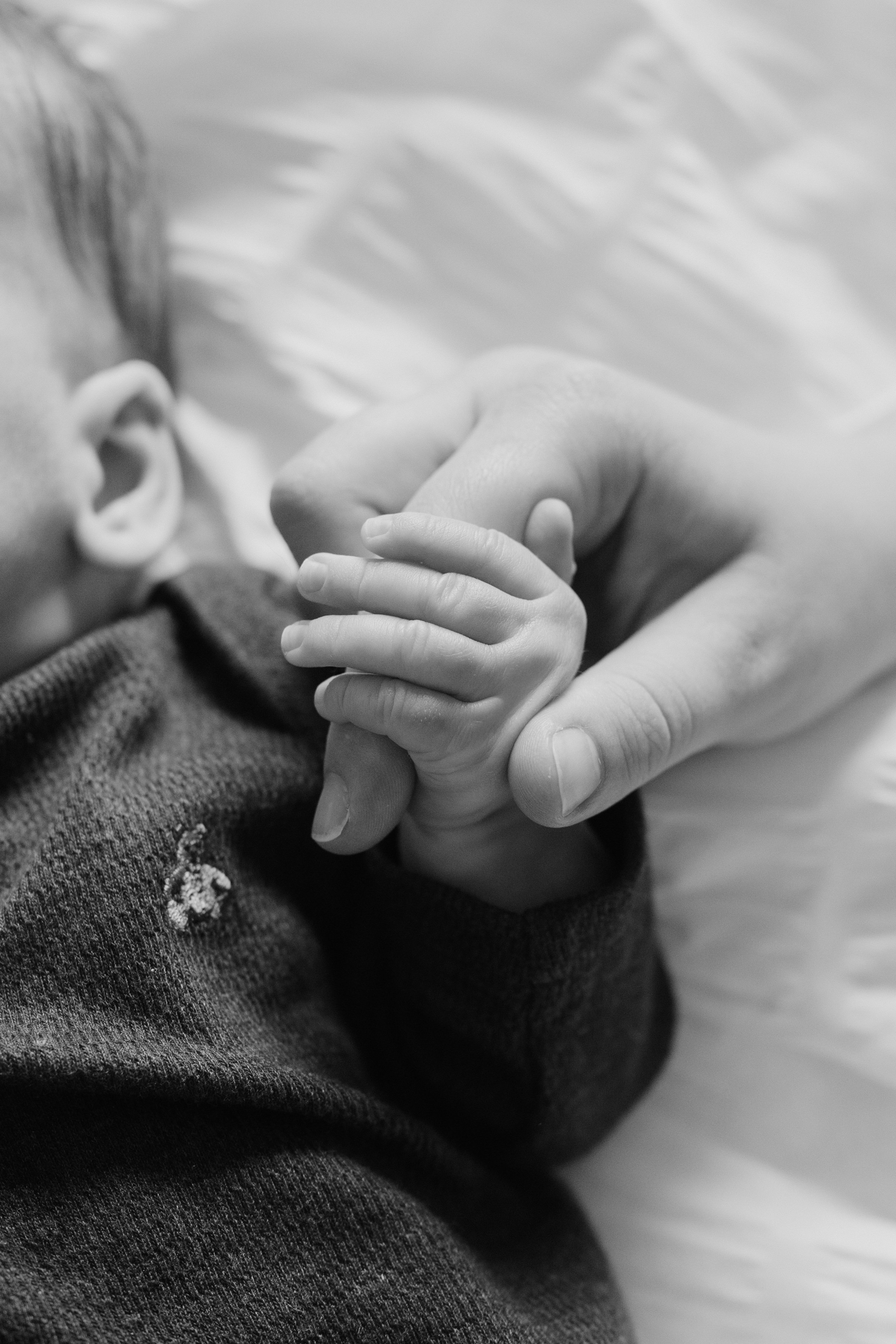 Nico 2 month portraits-7-2.jpg