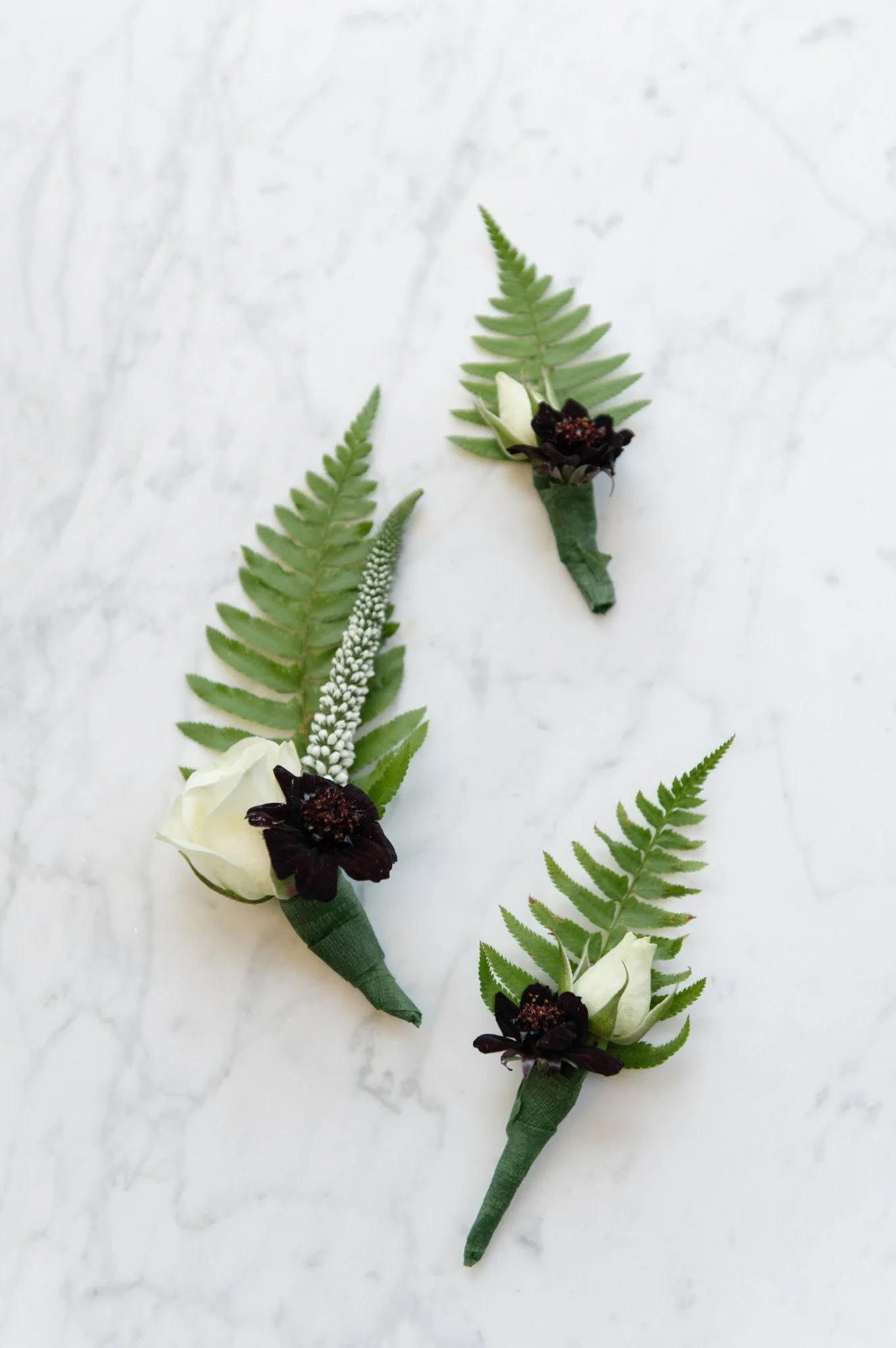 Volunteer Park Wedding Seattle Washington Photographer