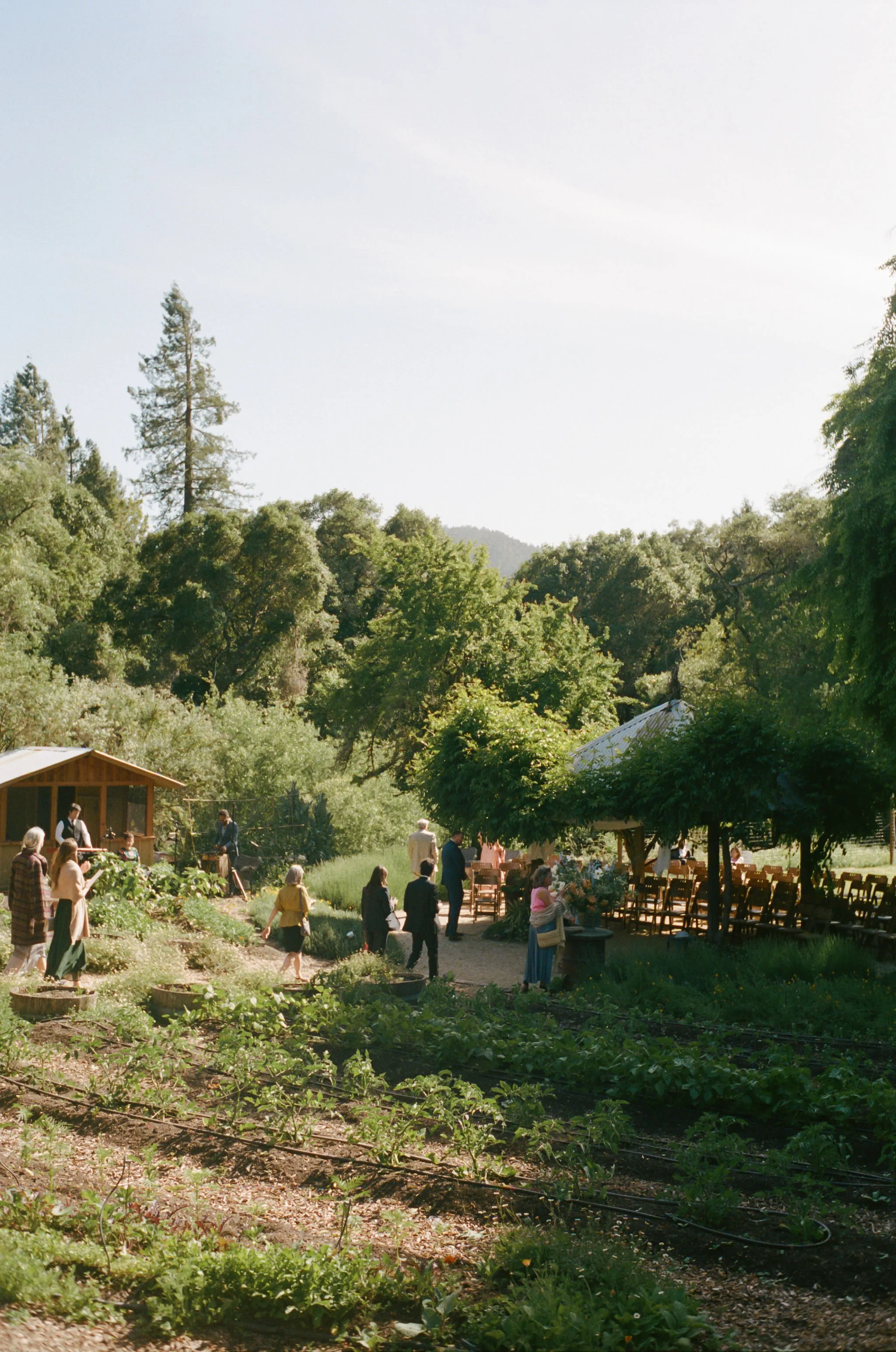 boonville-california-wedding-photographer-080.jpg