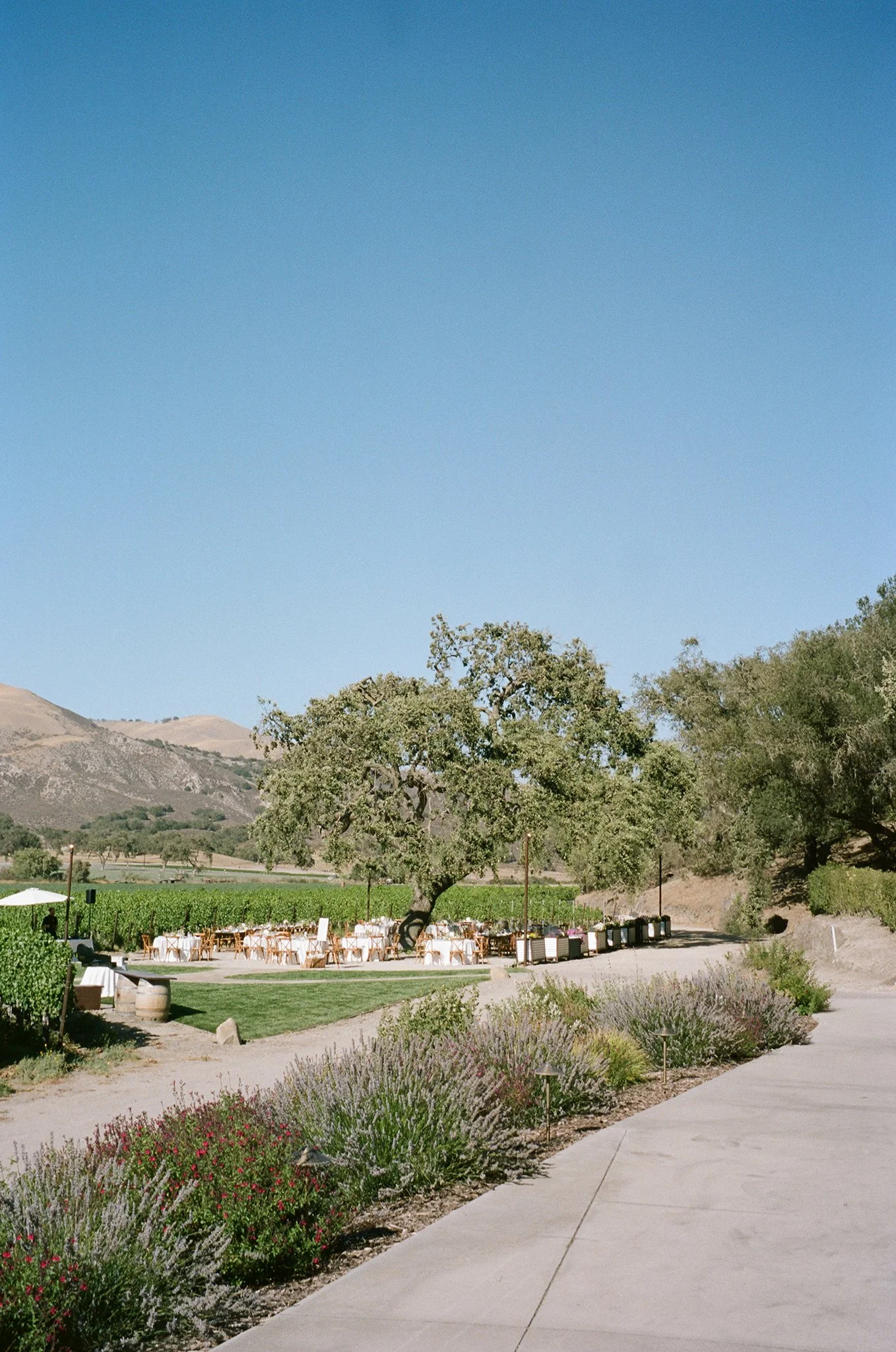 Los-Olivos-Winery-Wedding-Photographer-007.jpg