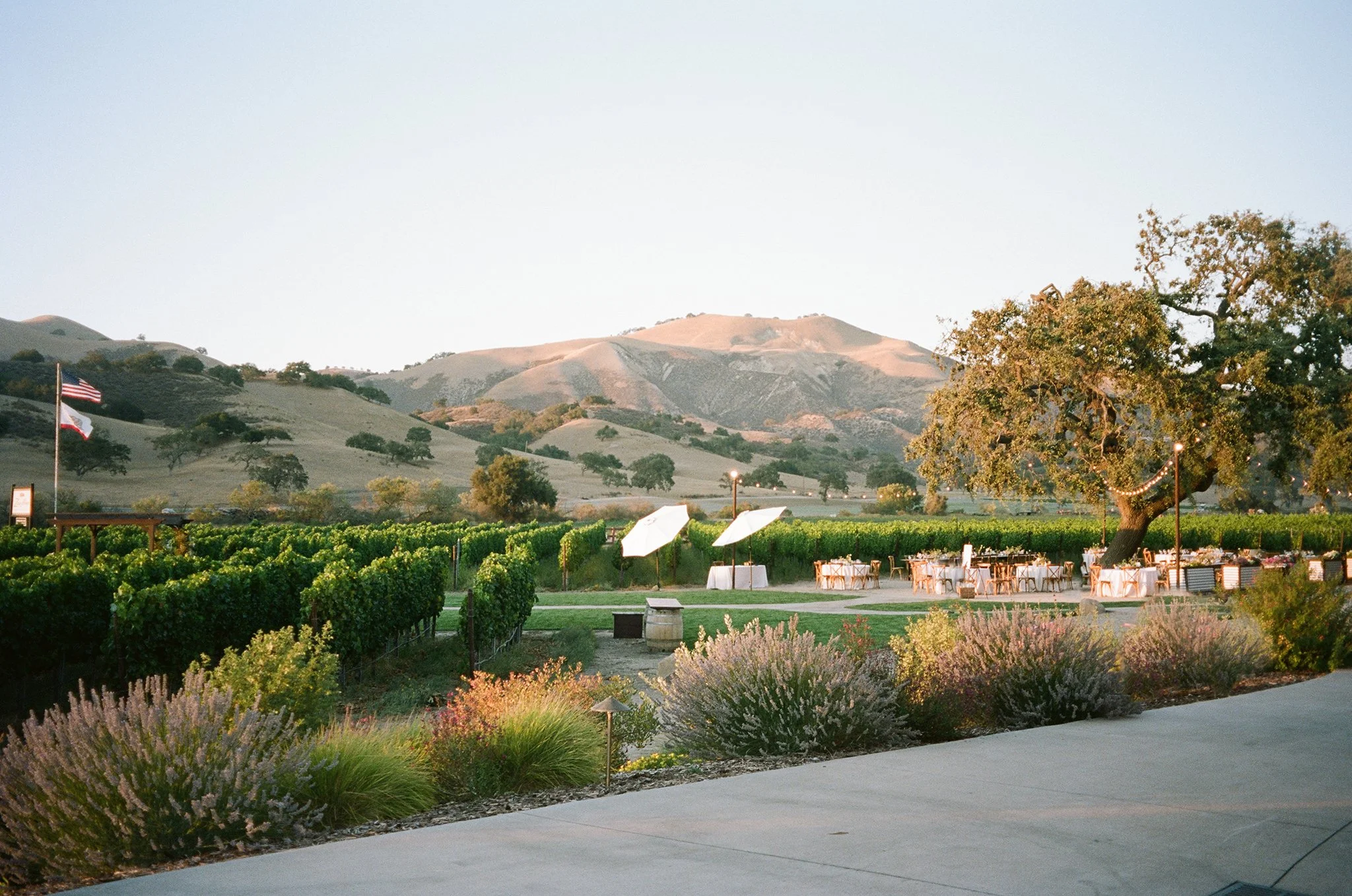 Los-Olivos-Winery-Wedding-Photographer-013.jpg