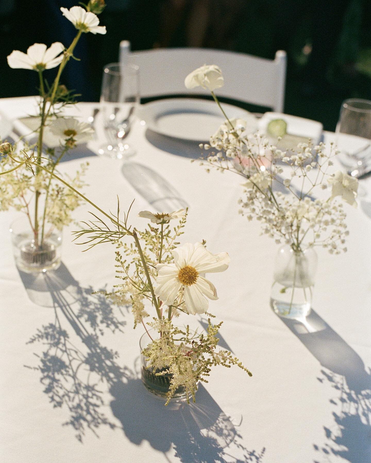 Dreaming of summer dinner parties on film 🤍 shot by J for our friend @annapeter_s