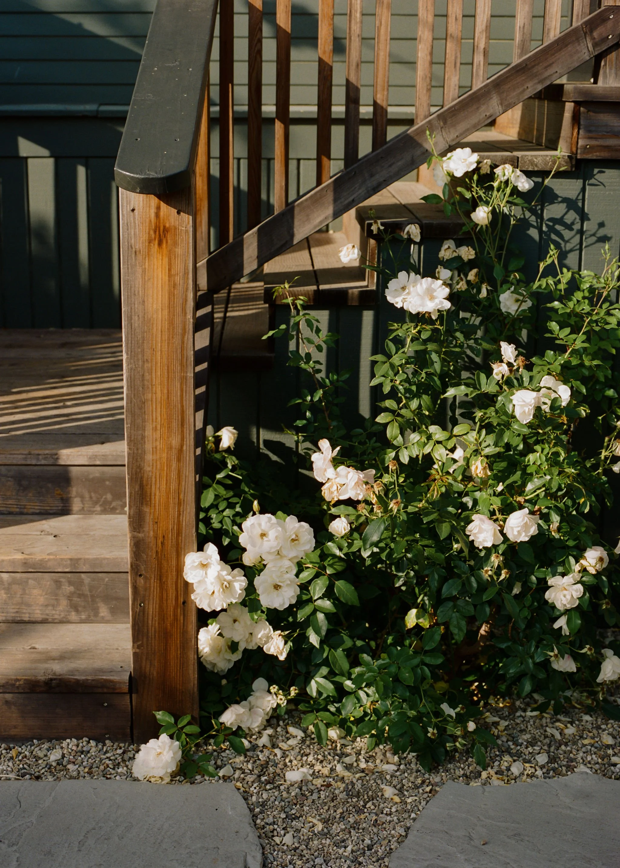 Santa-Barbara-Craft-House-Inn-Wedding-071.jpg