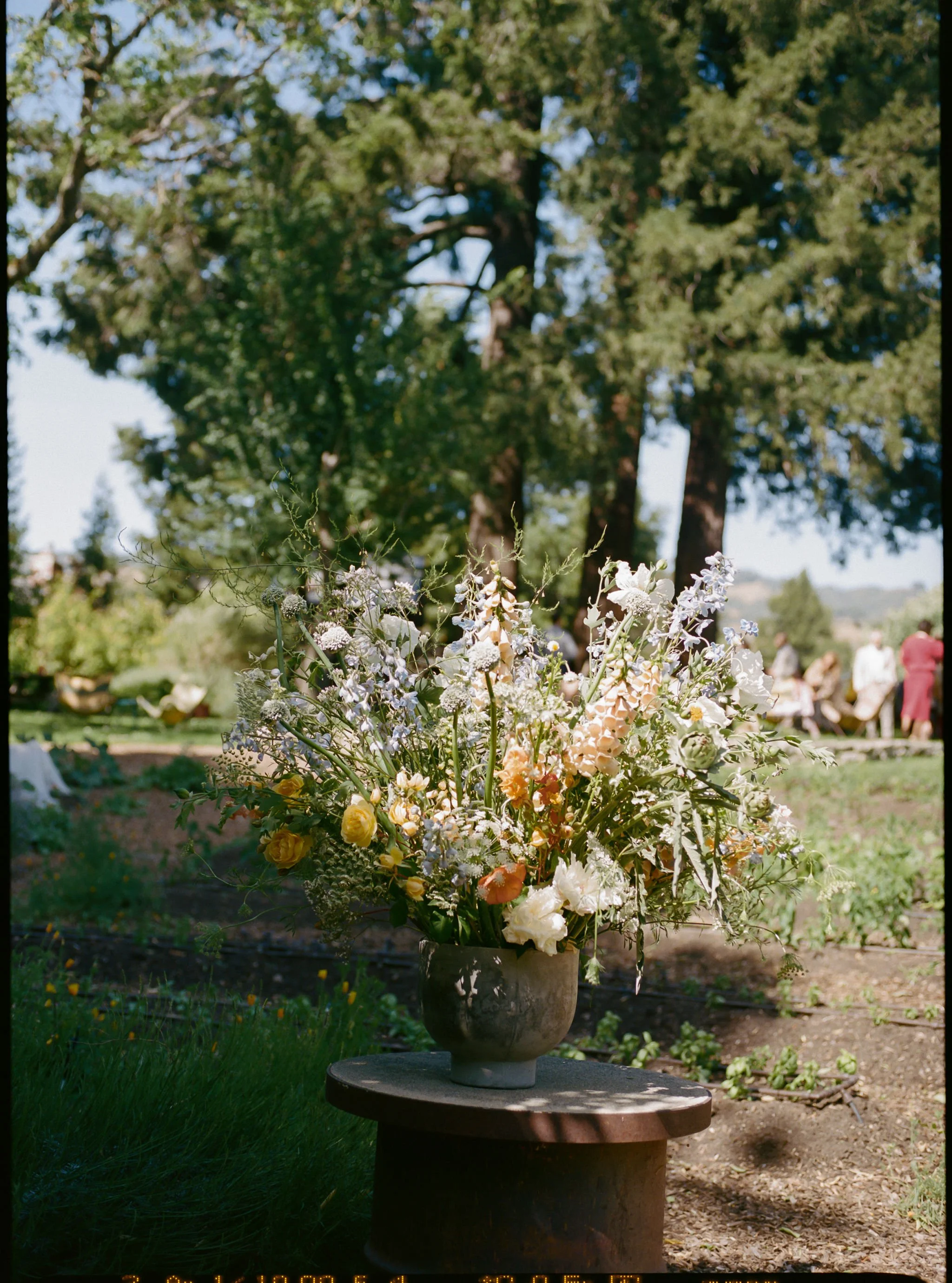 boonville-california-wedding-photographer-082.jpg