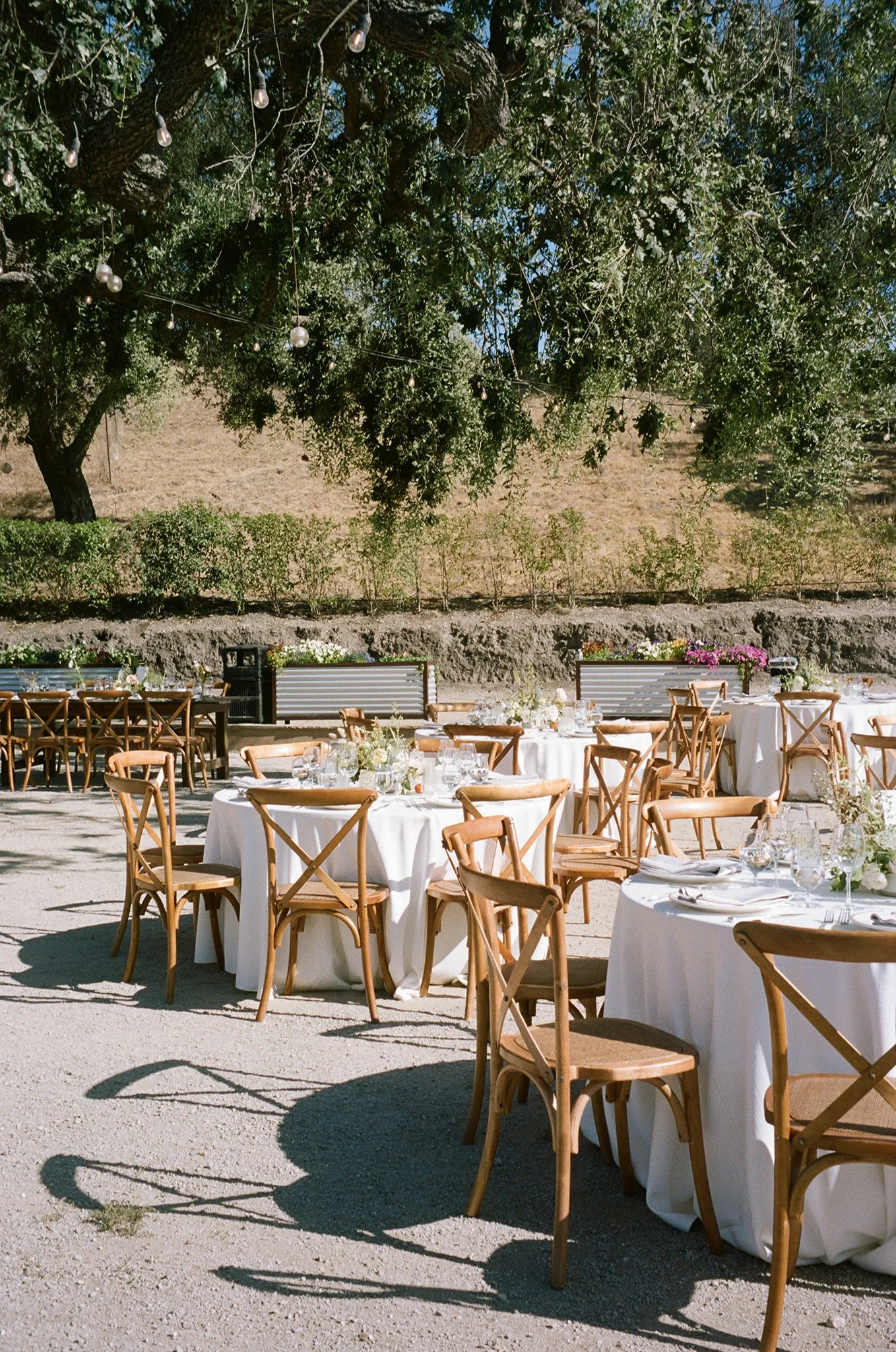 aca-Mesa-Winery-Wedding-Photographer-4.jpg