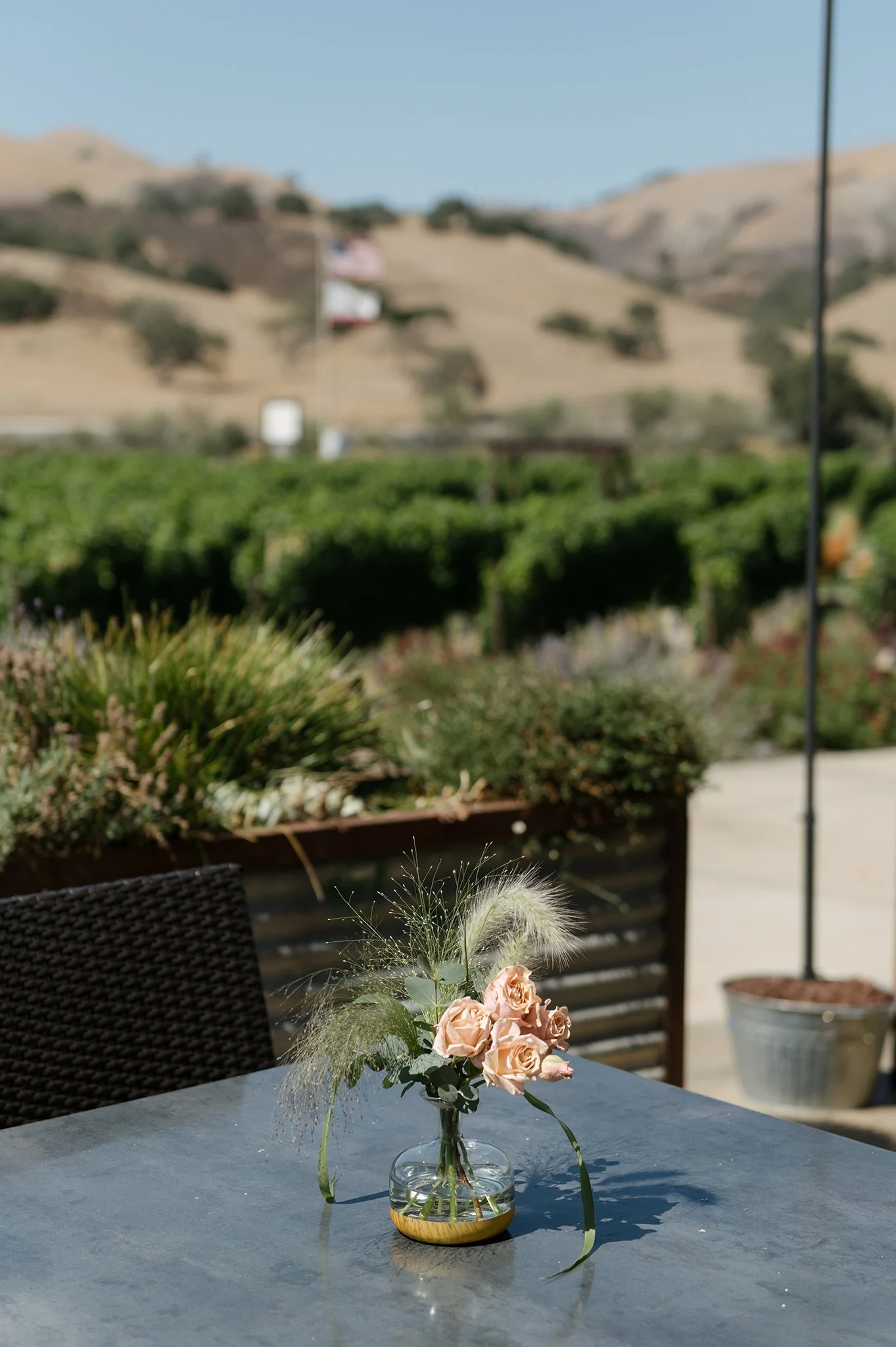 Los-Olivos-Winery-Wedding-Photographer-033.jpg