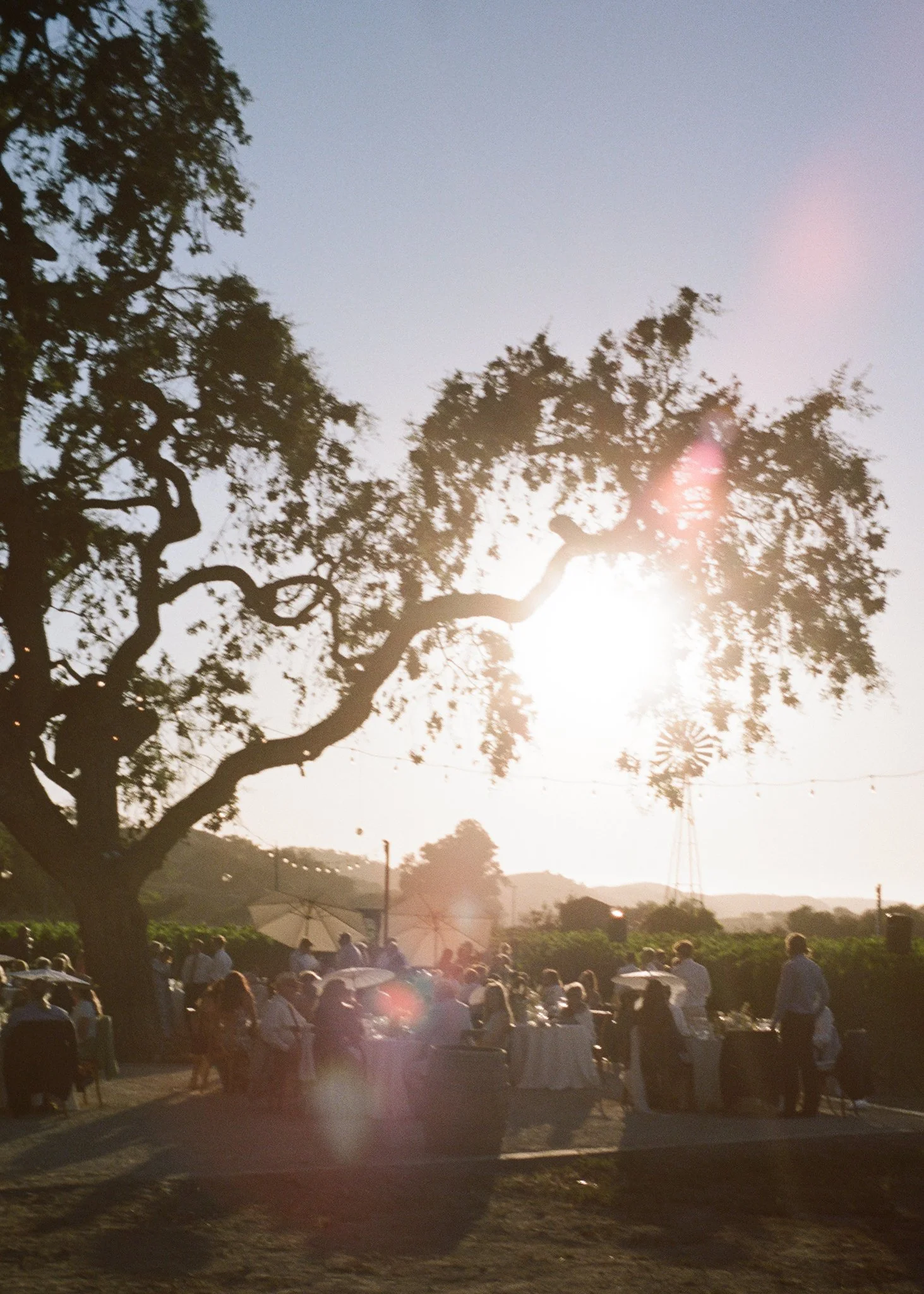 Los-Olivos-Winery-Wedding-Photographer-068.jpg