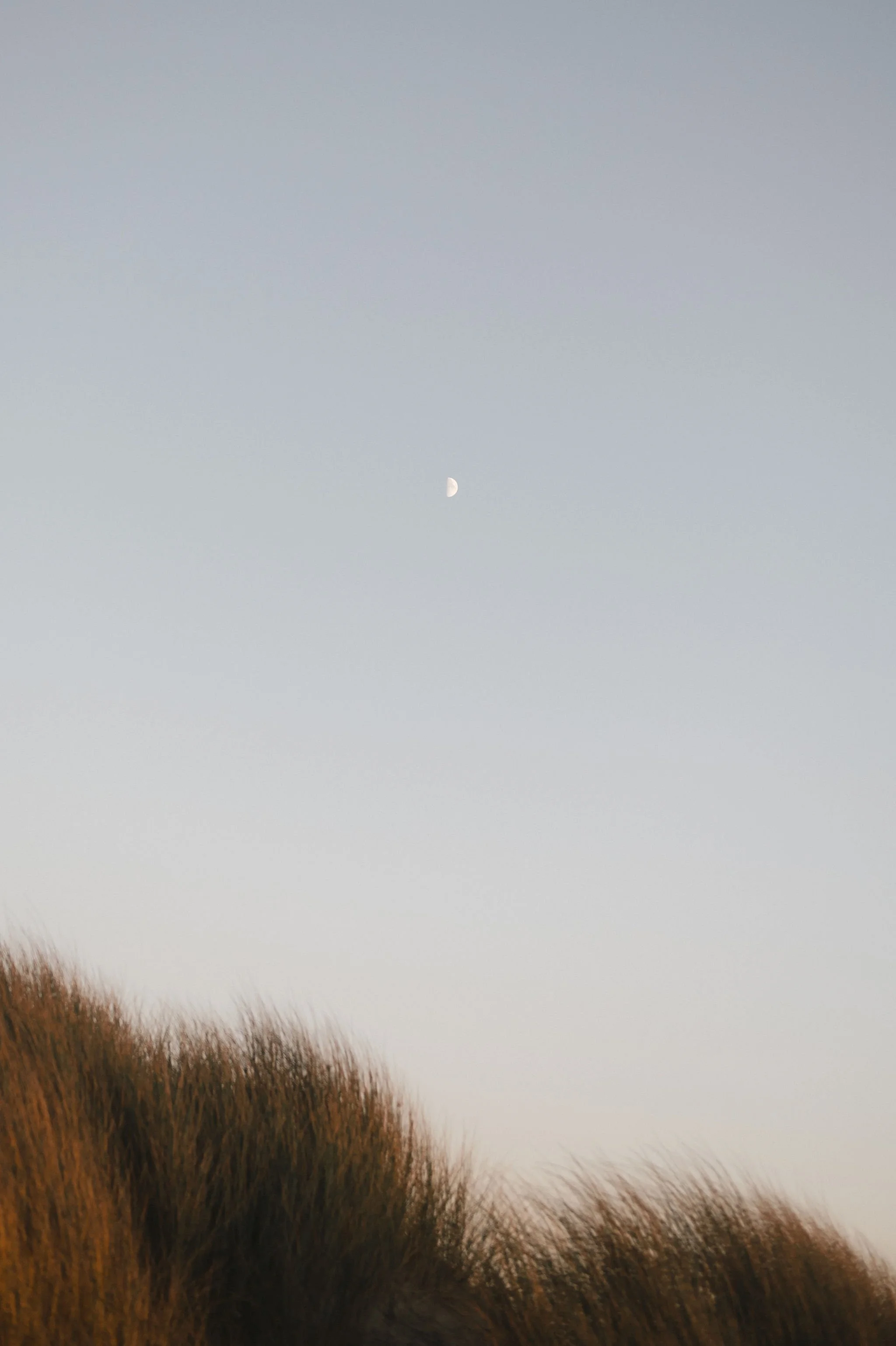 Point-Reyes-Engagement-Session-170.jpg