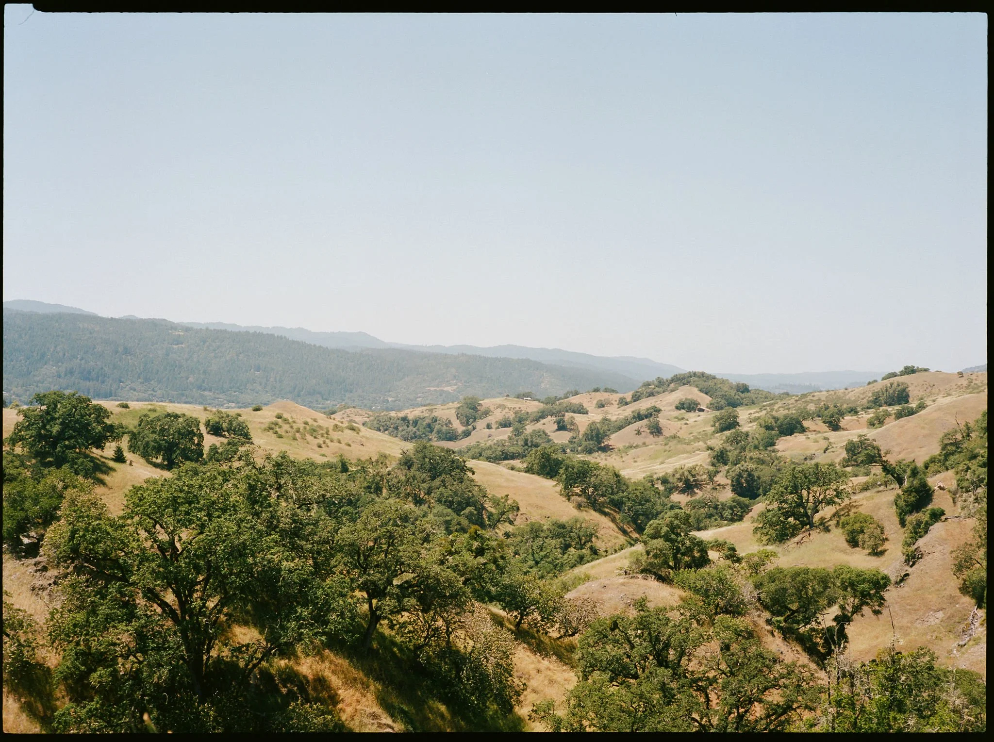 boonville-california-wedding-photographer-001.jpg