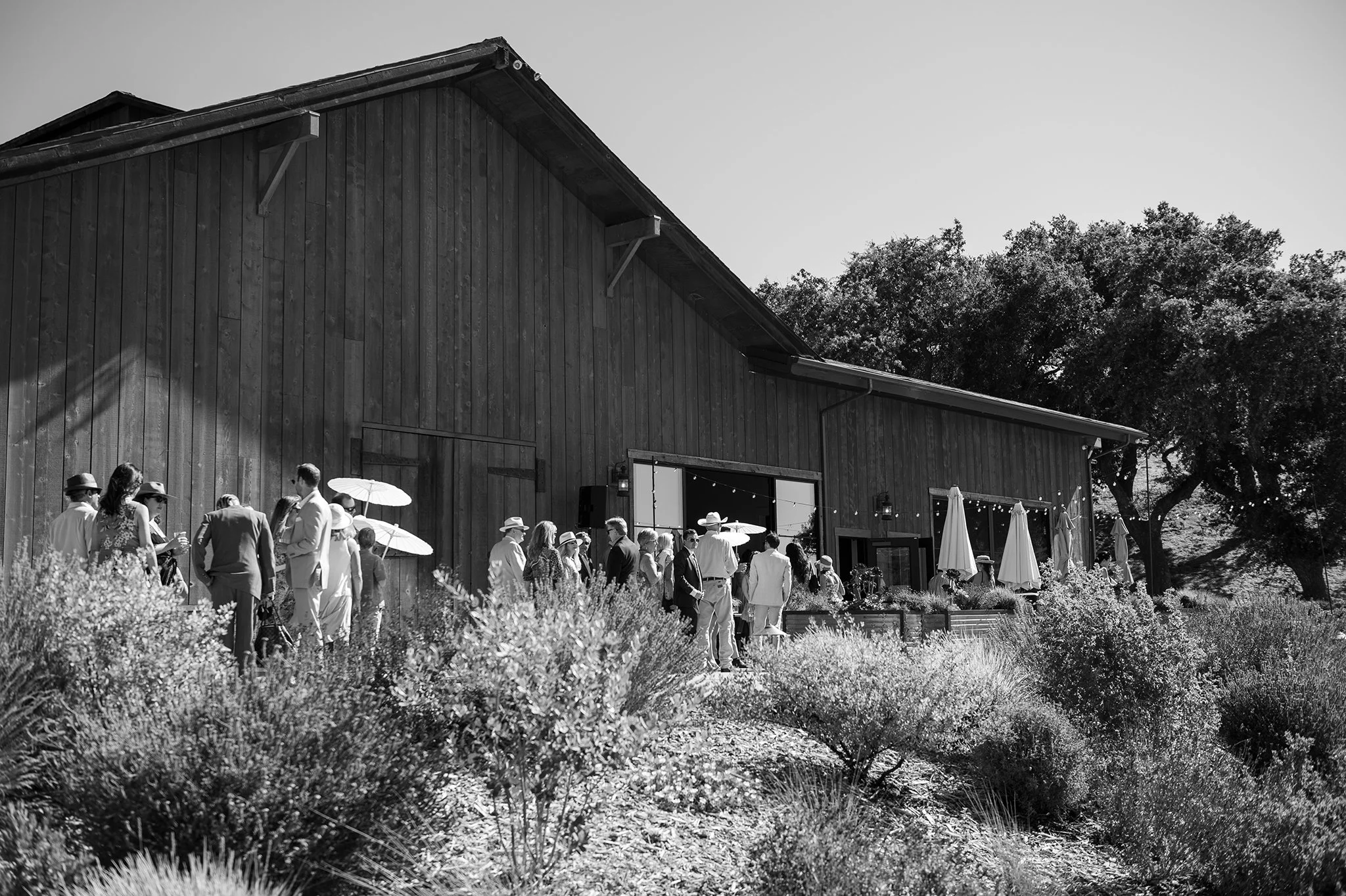 Los-Olivos-Winery-Wedding-Photographer-035.jpg