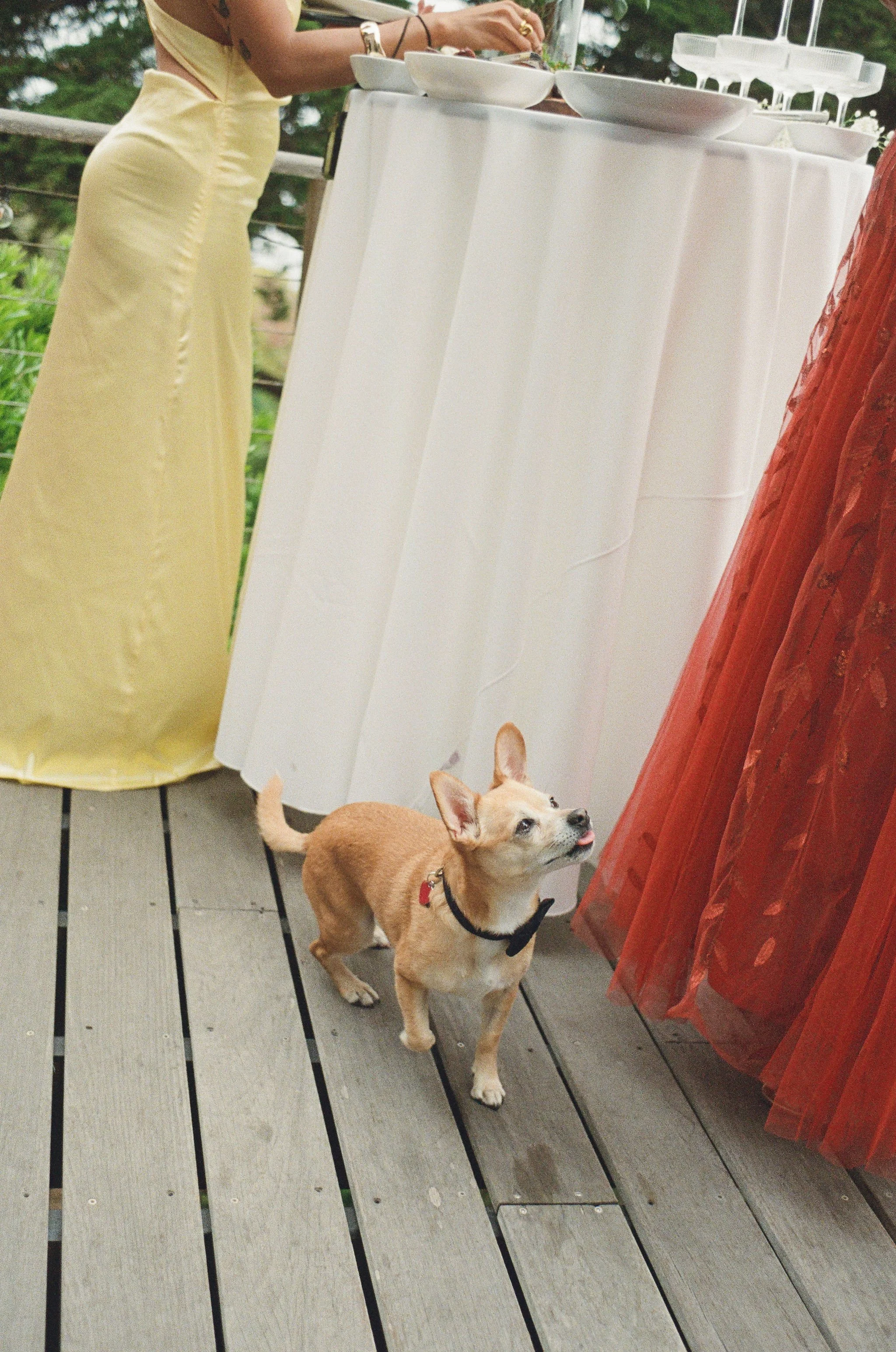 Big-Sur-Wedding-Photographer-186.jpg