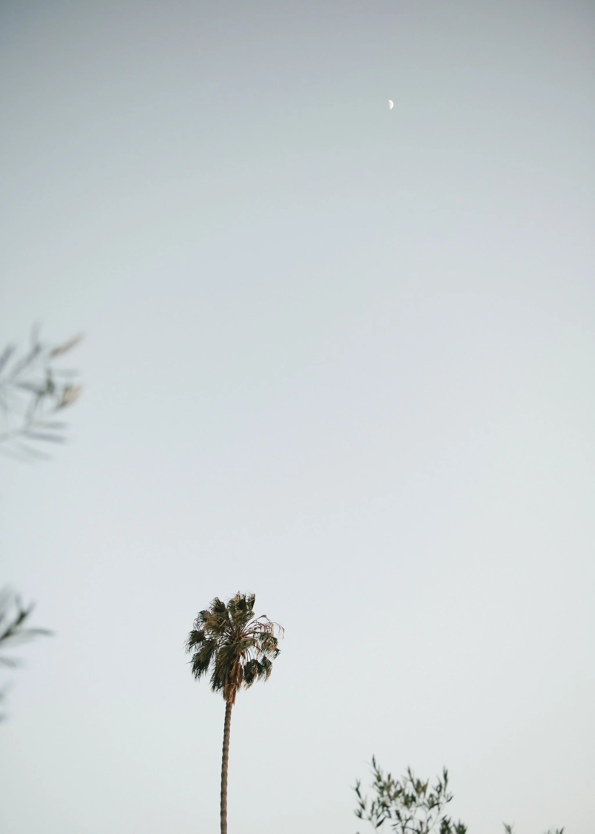 Santa-Barbara-Craft-House-Inn-Wedding-097.jpg