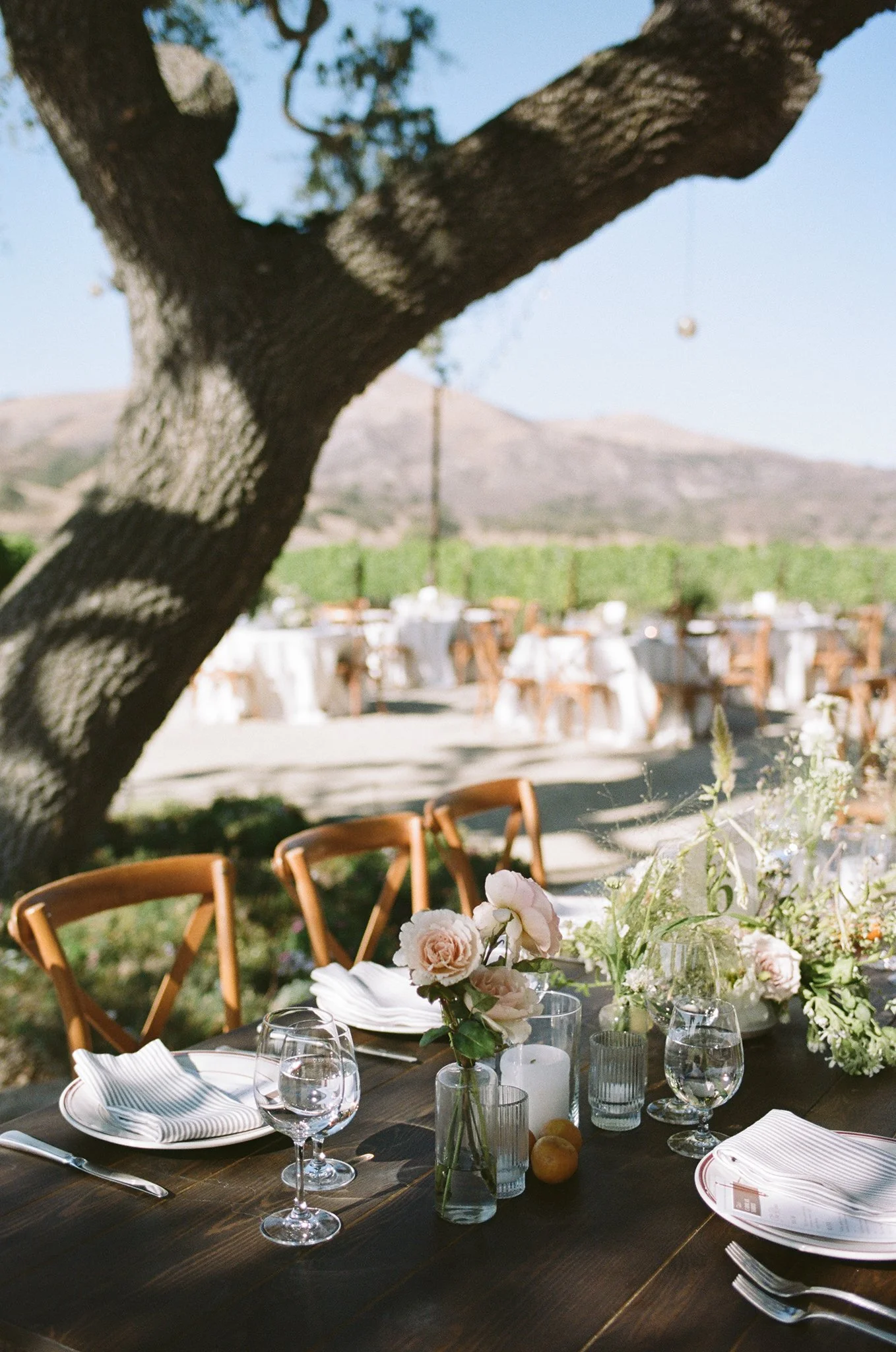 Los-Olivos-Winery-Wedding-Photographer-010.jpg