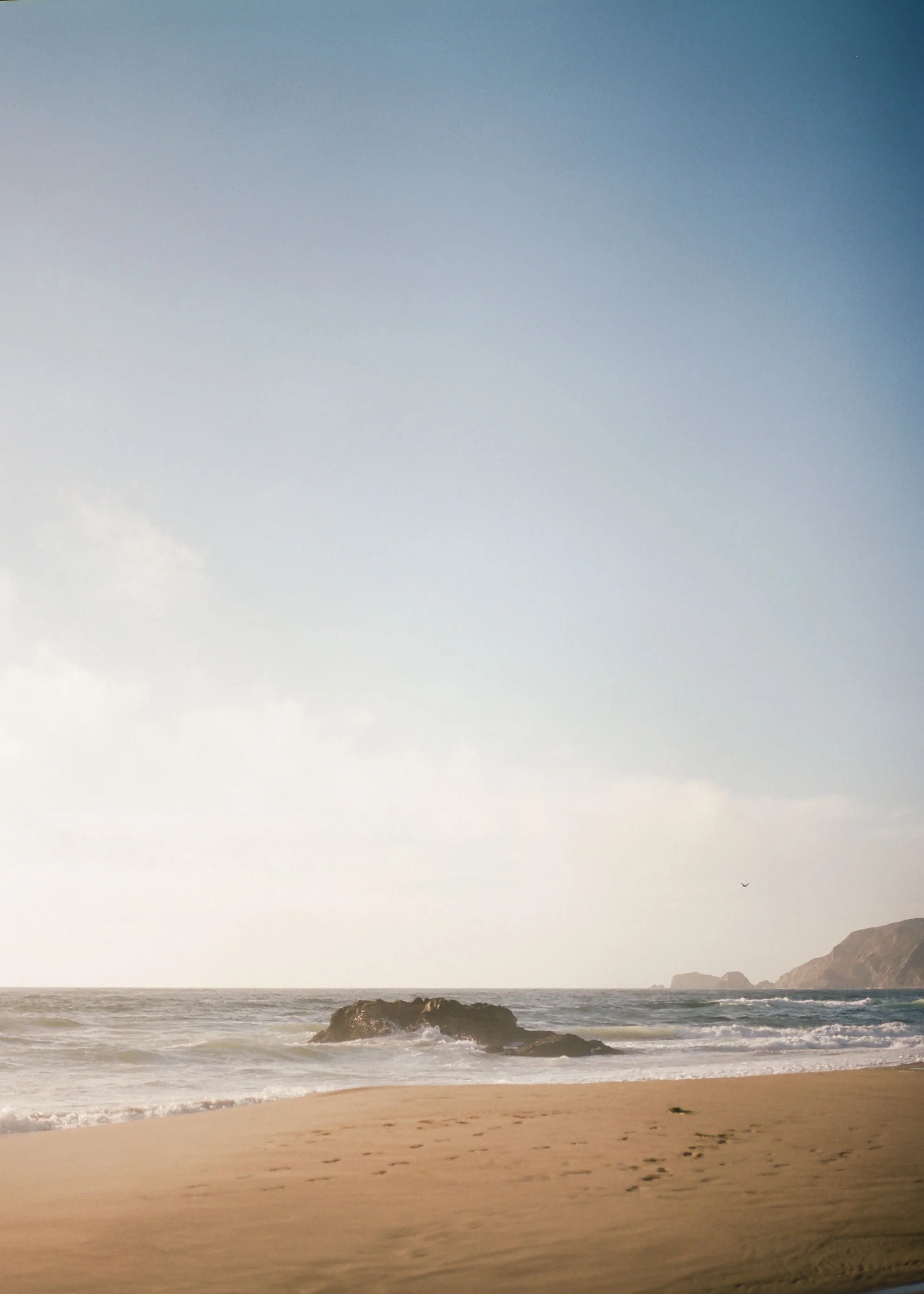 Point-Reyes-Engagement-Session-104.jpg