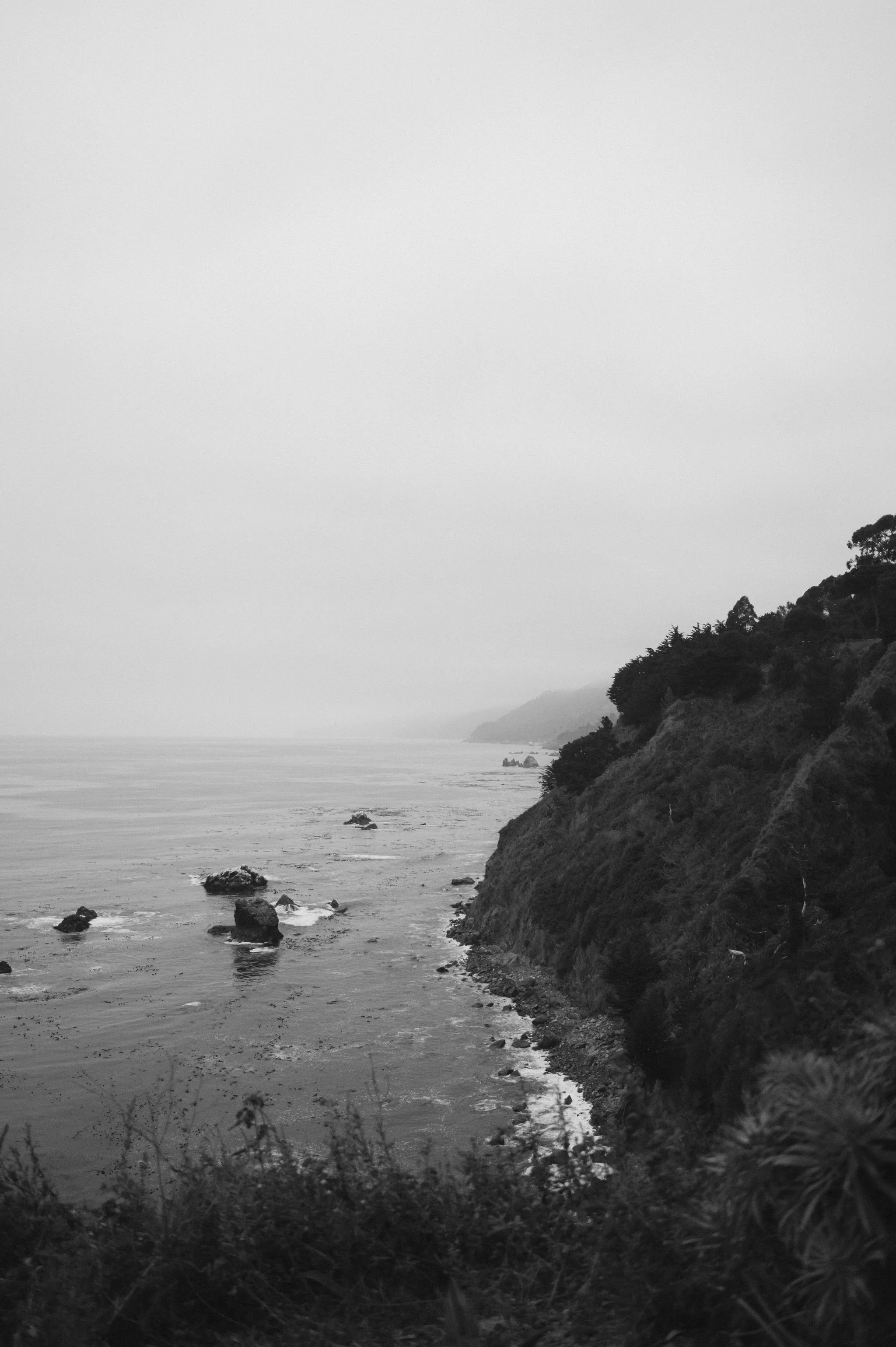 Big-Sur-Wedding-Photographer-479.jpg