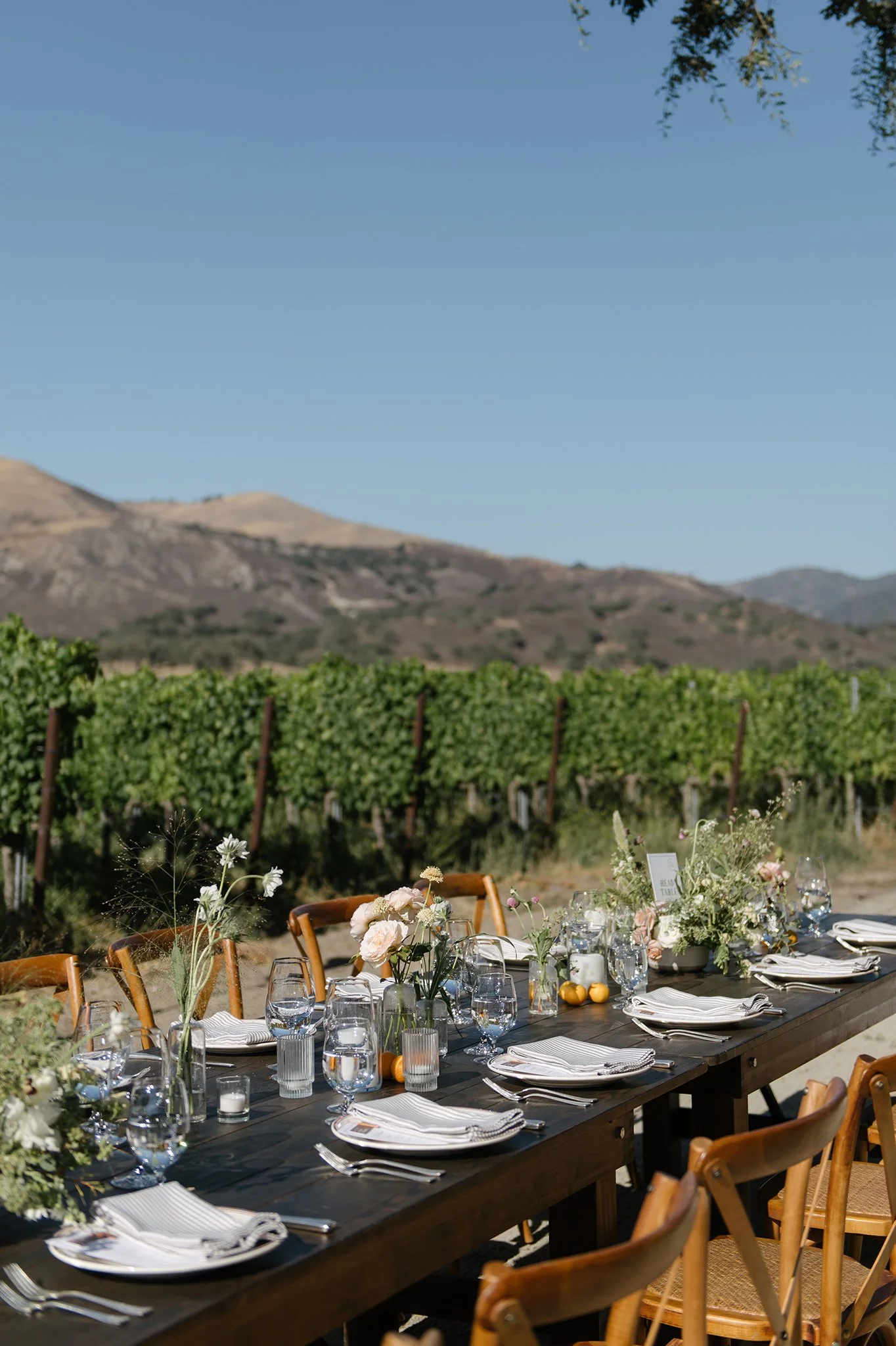 Los-Olivos-Winery-Wedding-Photographer-018.jpg