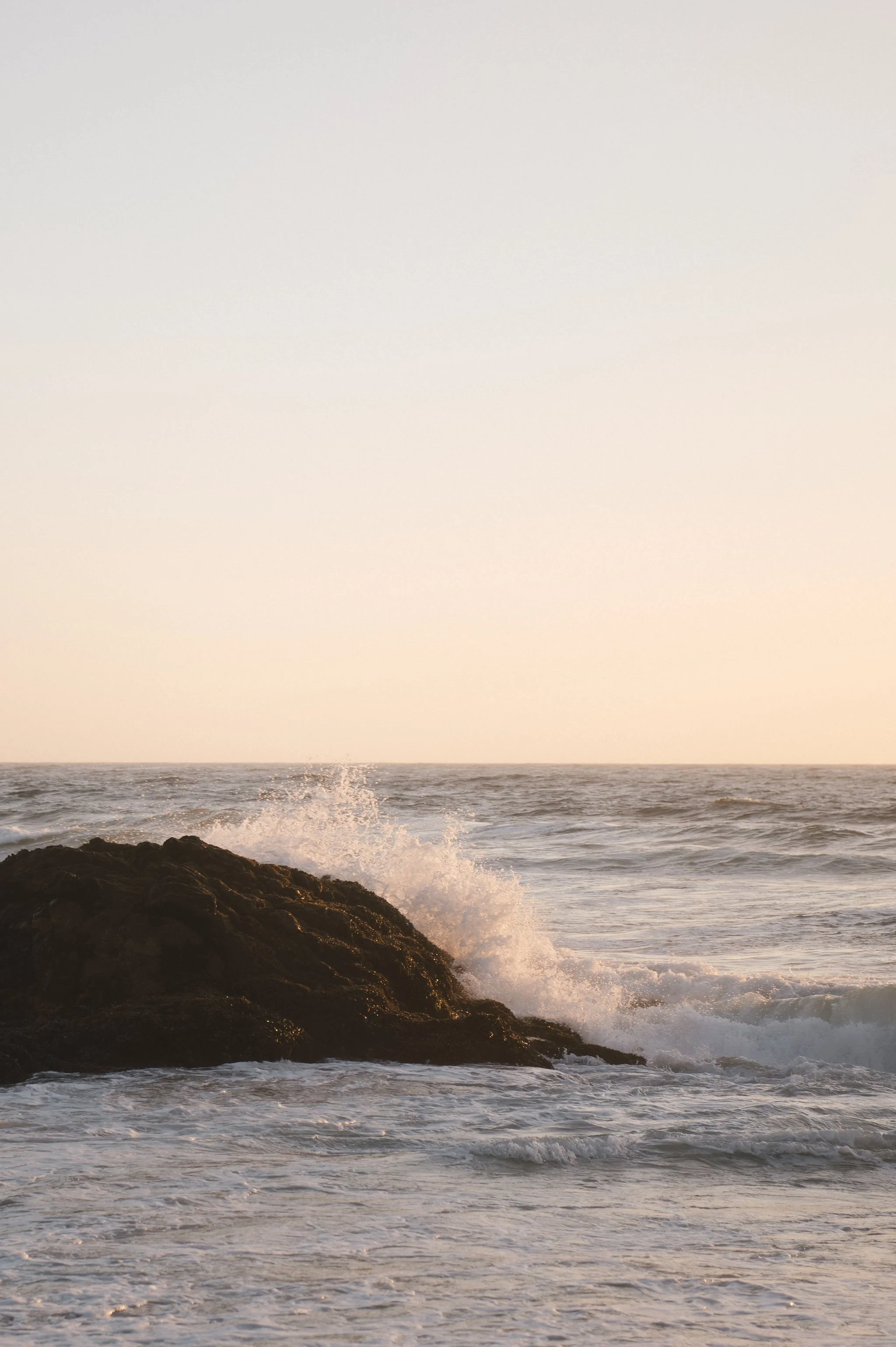 Point-Reyes-Engagement-Session-107.jpg