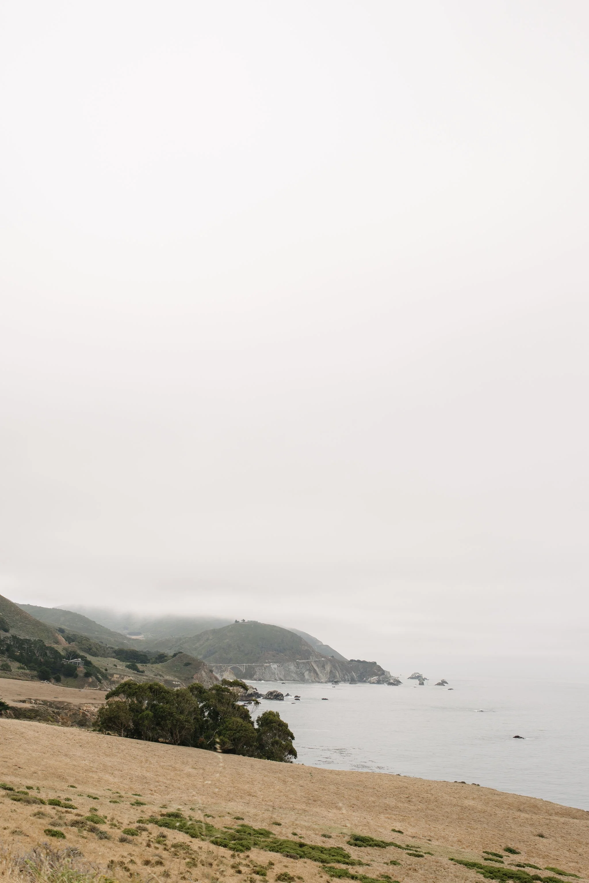 Big-Sur-Wedding-Photographer-001.jpg