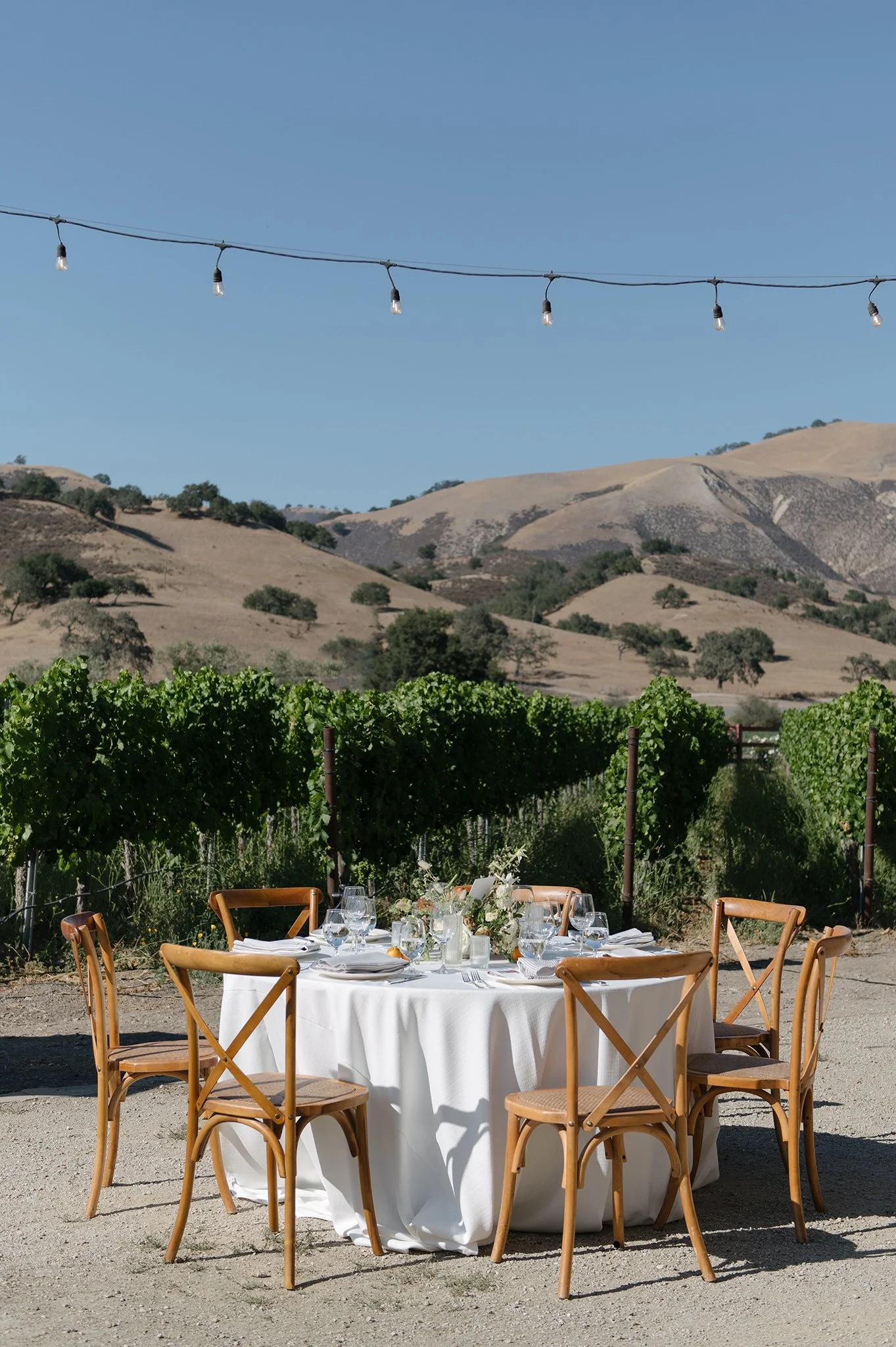 aca-Mesa-Winery-Wedding-Photographer-2.jpg