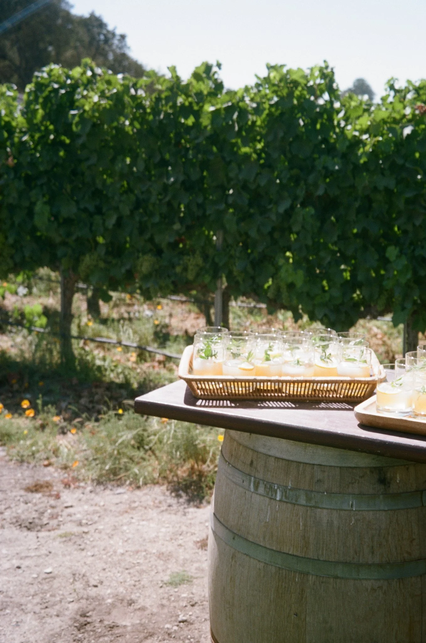Los-Olivos-Winery-Wedding-Photographer-021.jpg