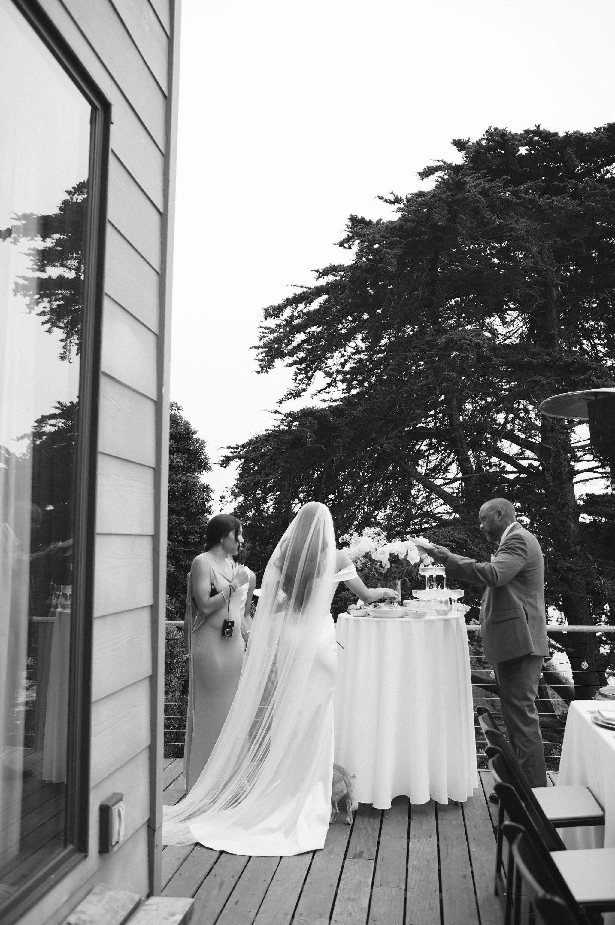 Big-Sur-Wedding-Photographer-182.jpg
