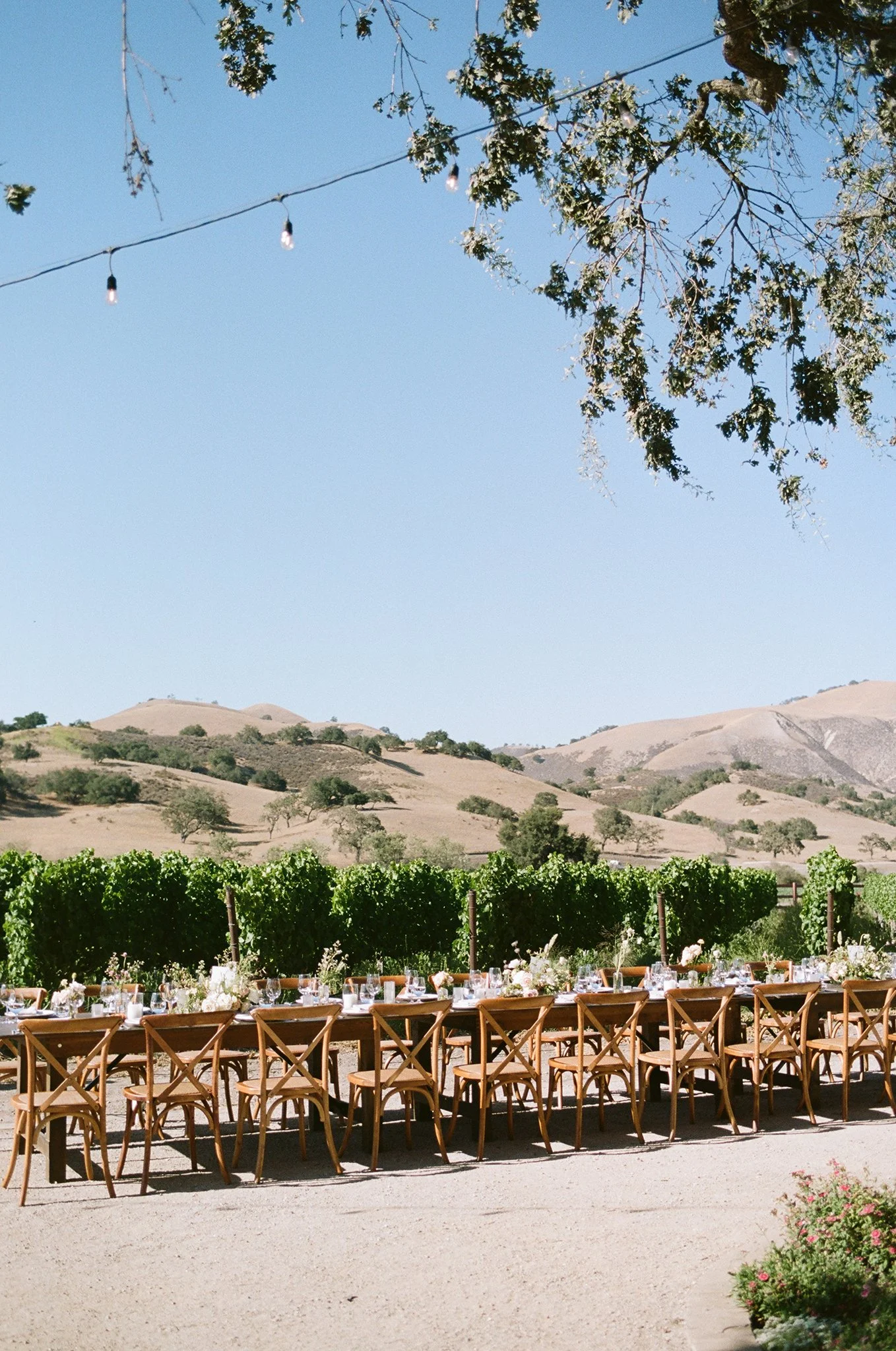 Los-Olivos-Winery-Wedding-Photographer-011.jpg