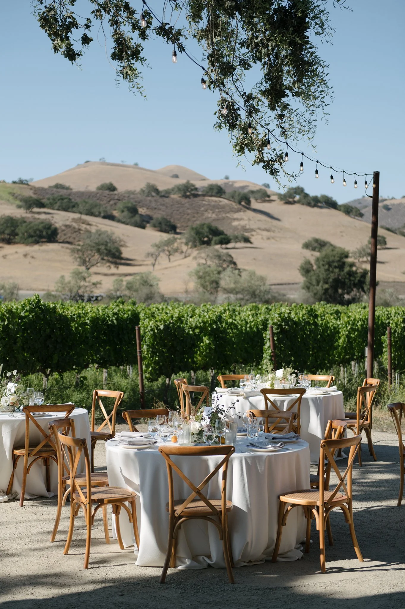 aca-Mesa-Winery-Wedding-Photographer-1.jpg