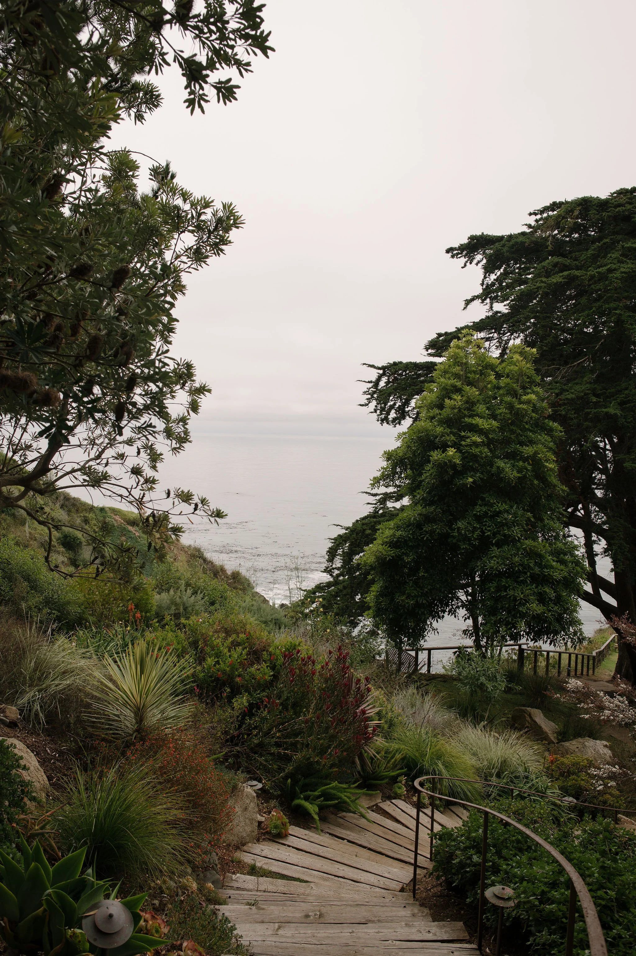 Big-Sur-Wedding-Photographer-003.jpg